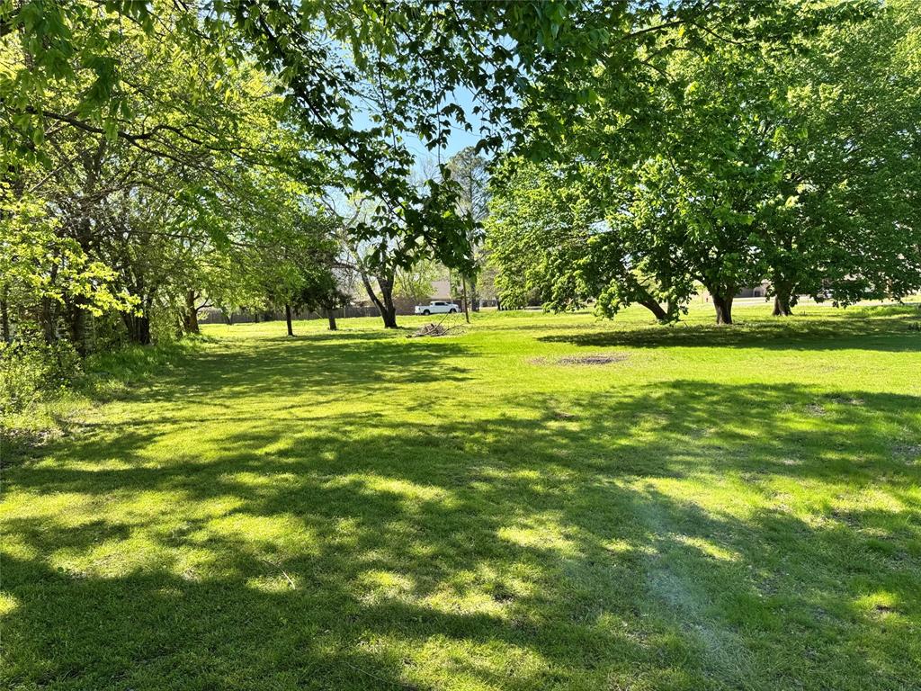 1202 Sherman Street Tioga, TX 76271 - Photo 1 of 6 a big yard with lots of green space and trees in the back