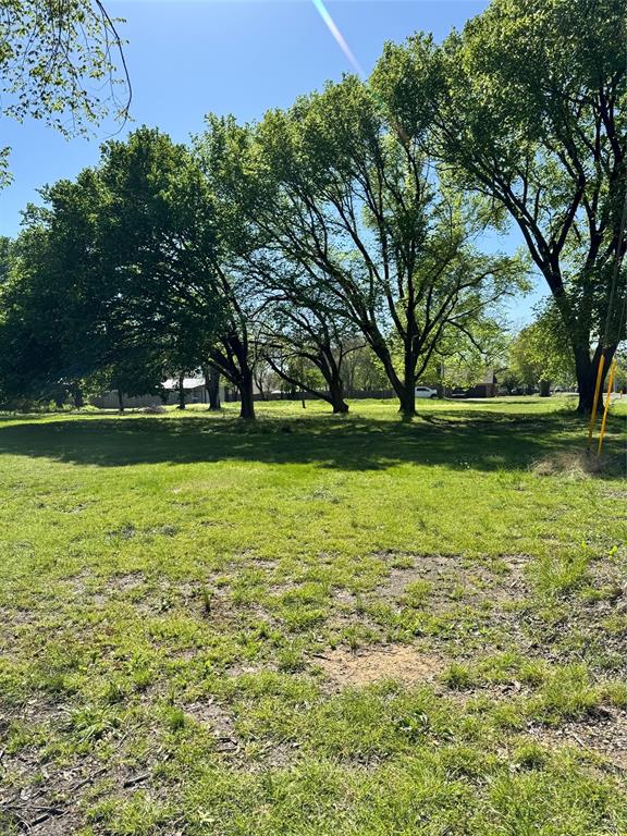 1202 Sherman Street Tioga, TX 76271 - Photo 5 of 6 a view of yard with swimming pool and green space