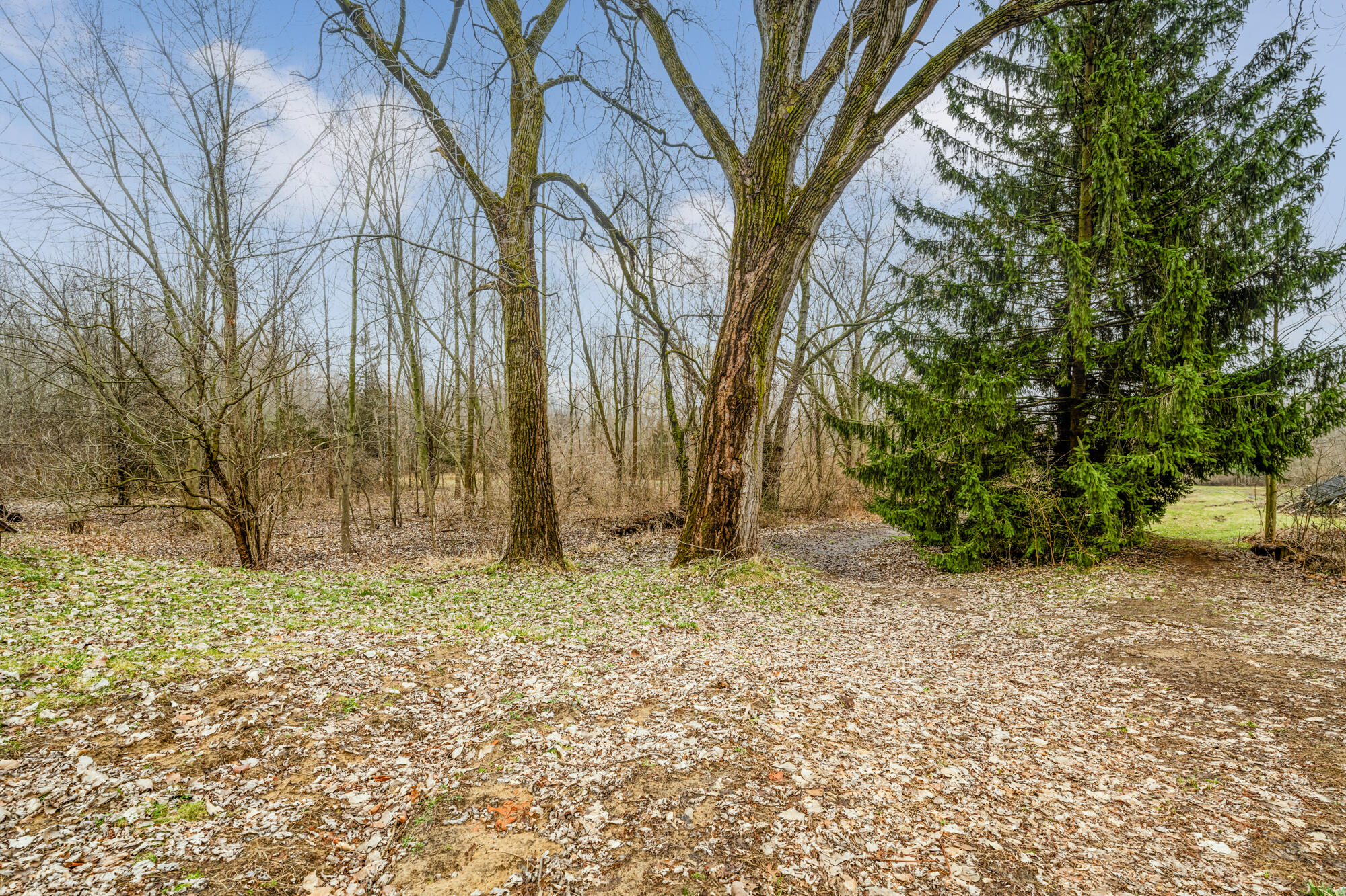 10439 Gast Road Bridgman, MI 49106 - Photo 45 of 52 Gast-148