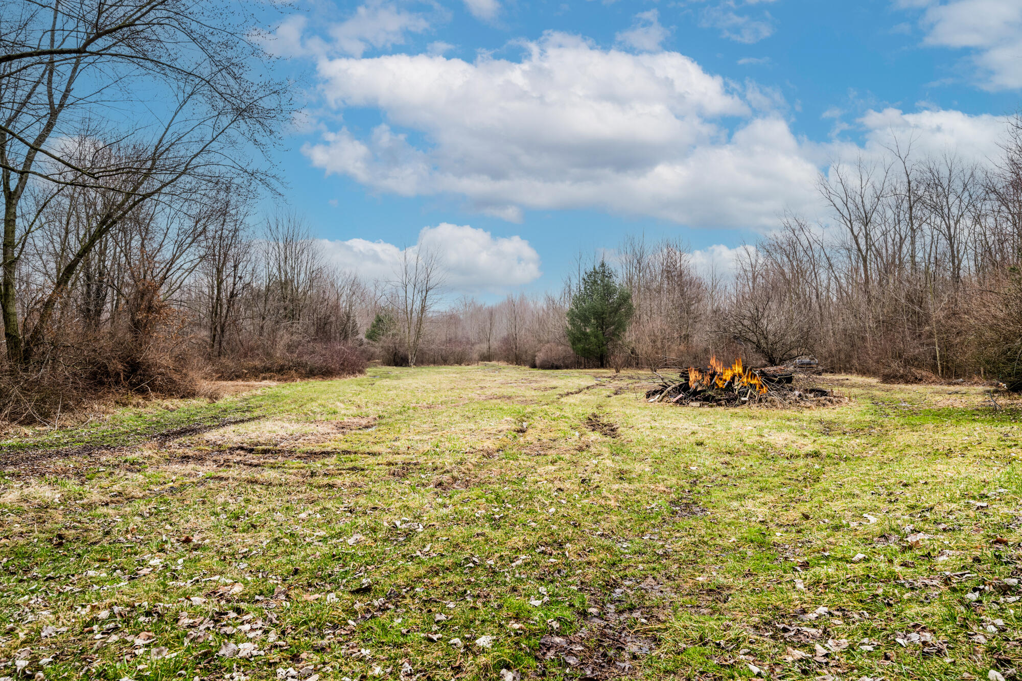 10439 Gast Road Bridgman, MI 49106 - Photo 48 of 52 Gast-151