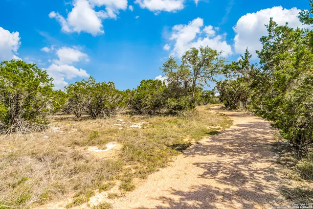 a view of a yard with plants and trees