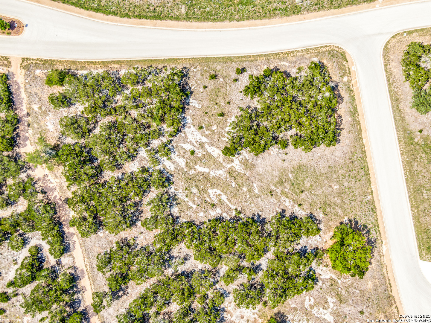 Lot 20 Ledgestone Boerne, TX 78006 - Photo 4 of 7 a view of a garden with a plant
