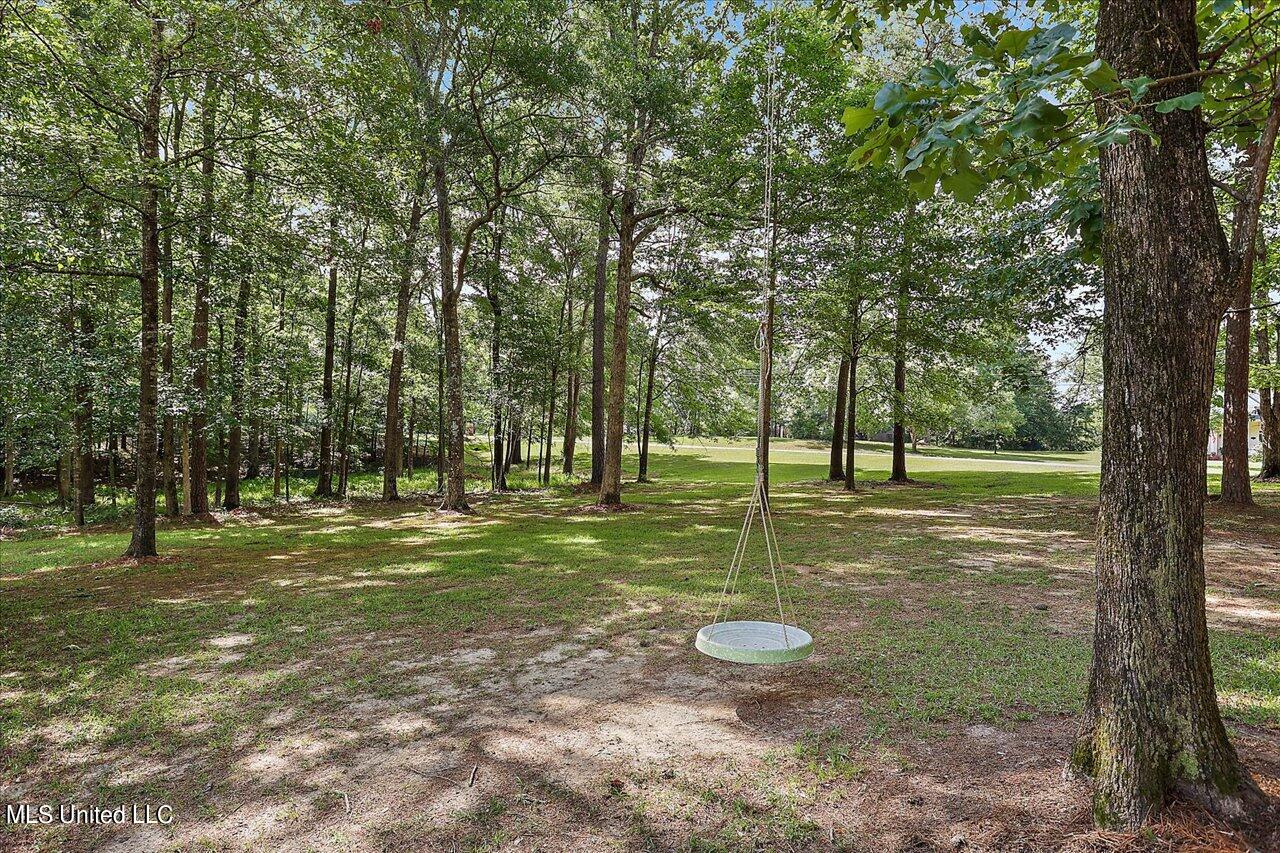 1030 Ridgeside Drive Brandon, MS 39042 - Photo 54 of 63 55-1030 Ridgeside Dr