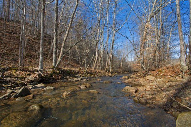 2745 Lick Creek Road Meadow Bridge, WV 25976 - Photo 34 of 44 Gallery Image 34