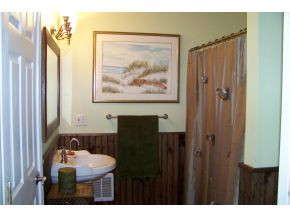 8895 Big Dry Run Road Butler, TN 37640 - Photo 12 of 22 MASTER BATHROOM TUB SHOWER
