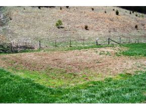 8895 Big Dry Run Road Butler, TN 37640 - Photo 21 of 22 VEGETABLE GARDEN AREA