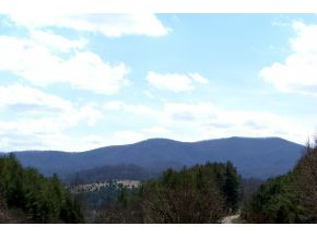 8895 Big Dry Run Road Butler, TN 37640 - Photo 22 of 22 MOUNTAIN VIEWS
