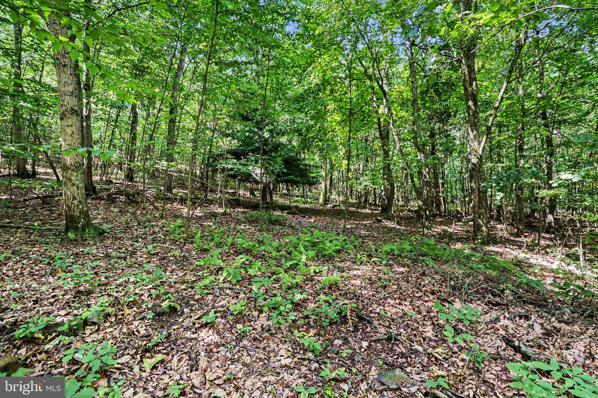 739 Bucks Church Road Newport, PA 17074 - Photo 5 of 16