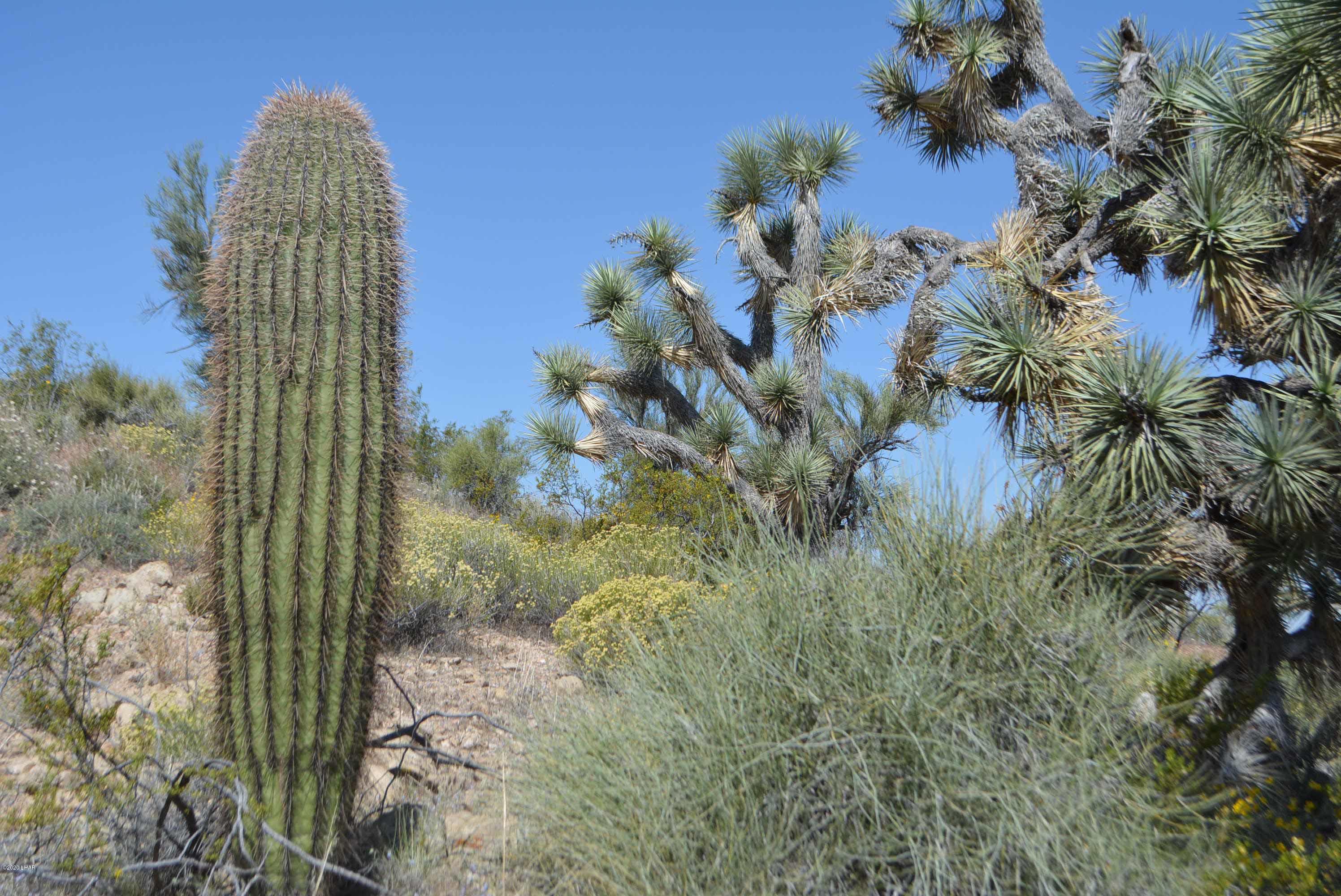 Lot 2396 Appaloosa Road Yucca, AZ 86438 - Photo 1 of 48 DSC_0758