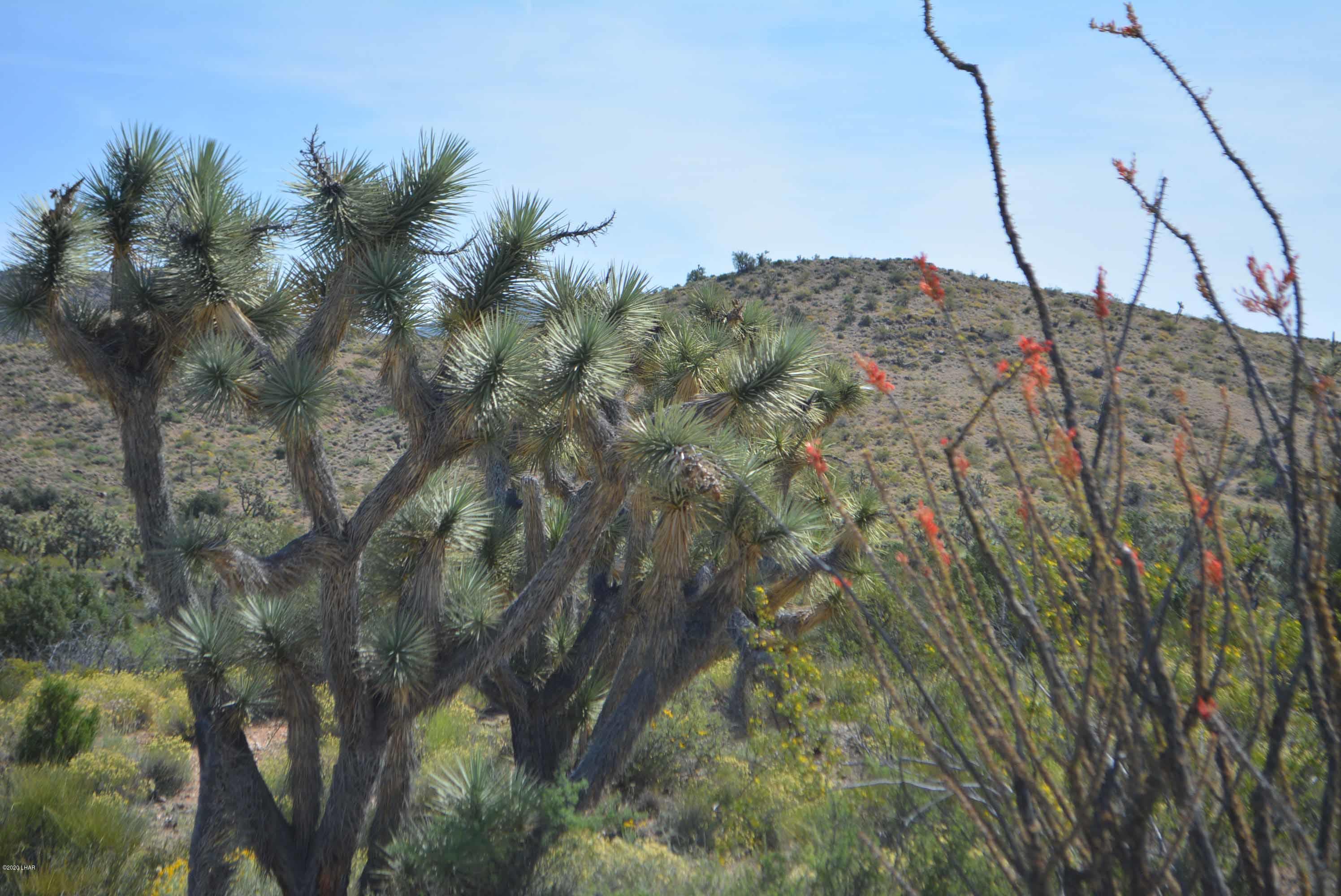 Lot 2396 Appaloosa Road Yucca, AZ 86438 - Photo 11 of 48 DSC_0723