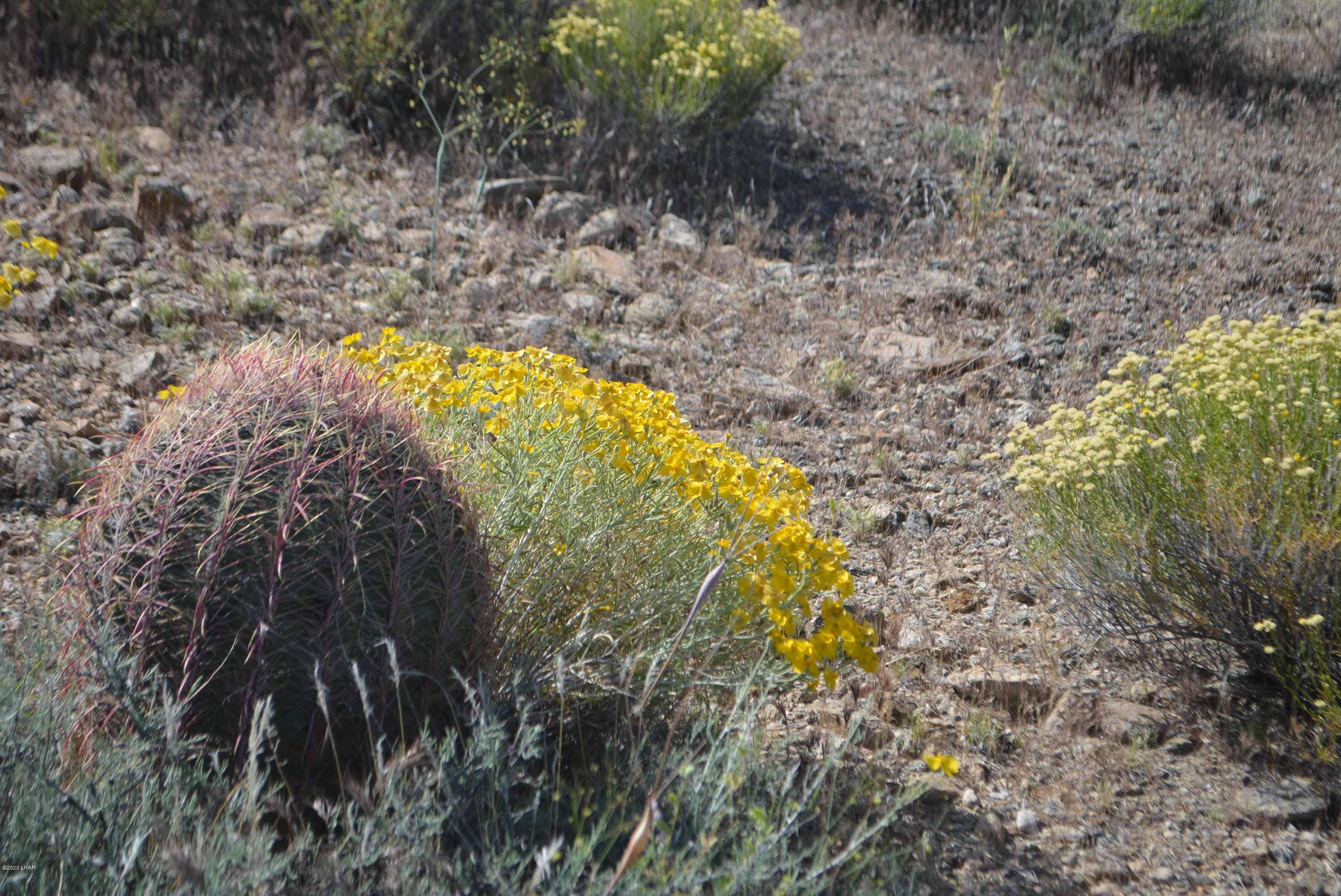 Lot 2396 Appaloosa Road Yucca, AZ 86438 - Photo 12 of 48 DSC_0724