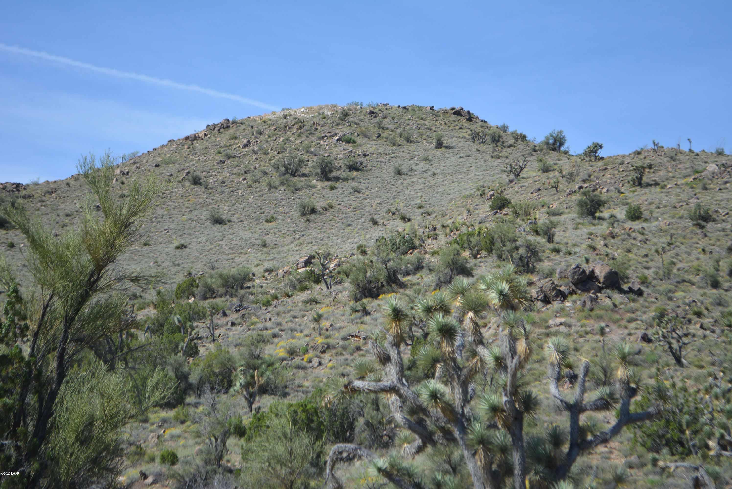 Lot 2396 Appaloosa Road Yucca, AZ 86438 - Photo 13 of 48 DSC_0725
