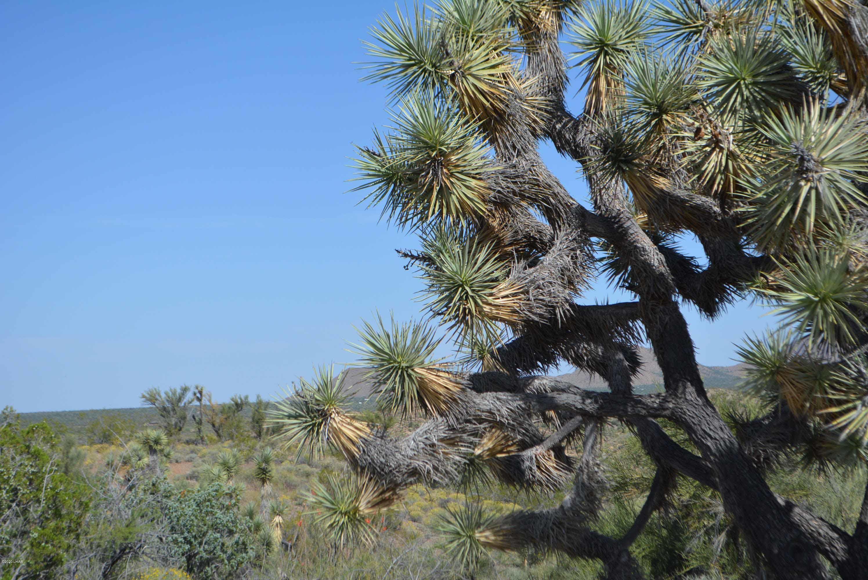 Lot 2396 Appaloosa Road Yucca, AZ 86438 - Photo 15 of 48 DSC_0727