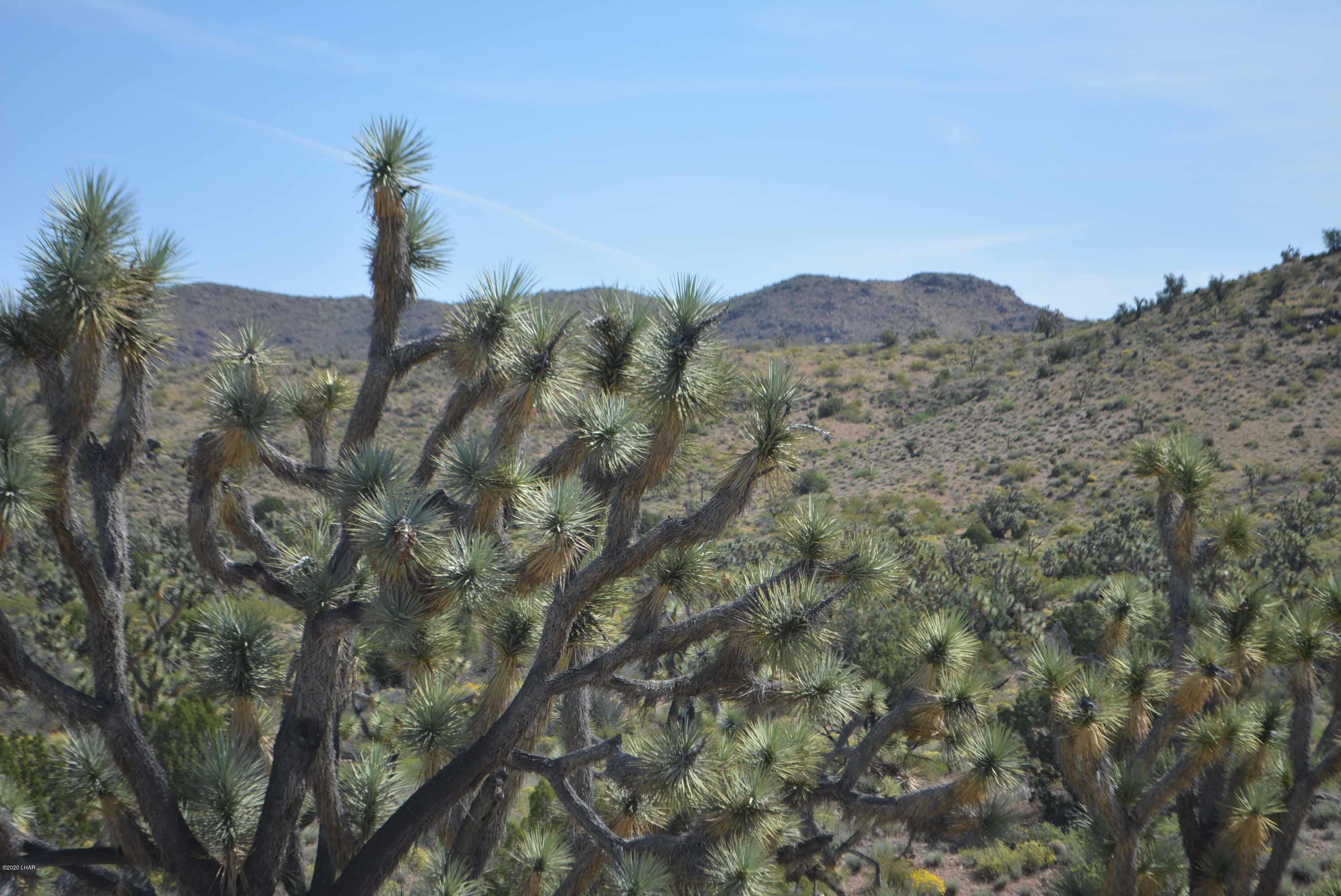Lot 2396 Appaloosa Road Yucca, AZ 86438 - Photo 16 of 48 DSC_0728