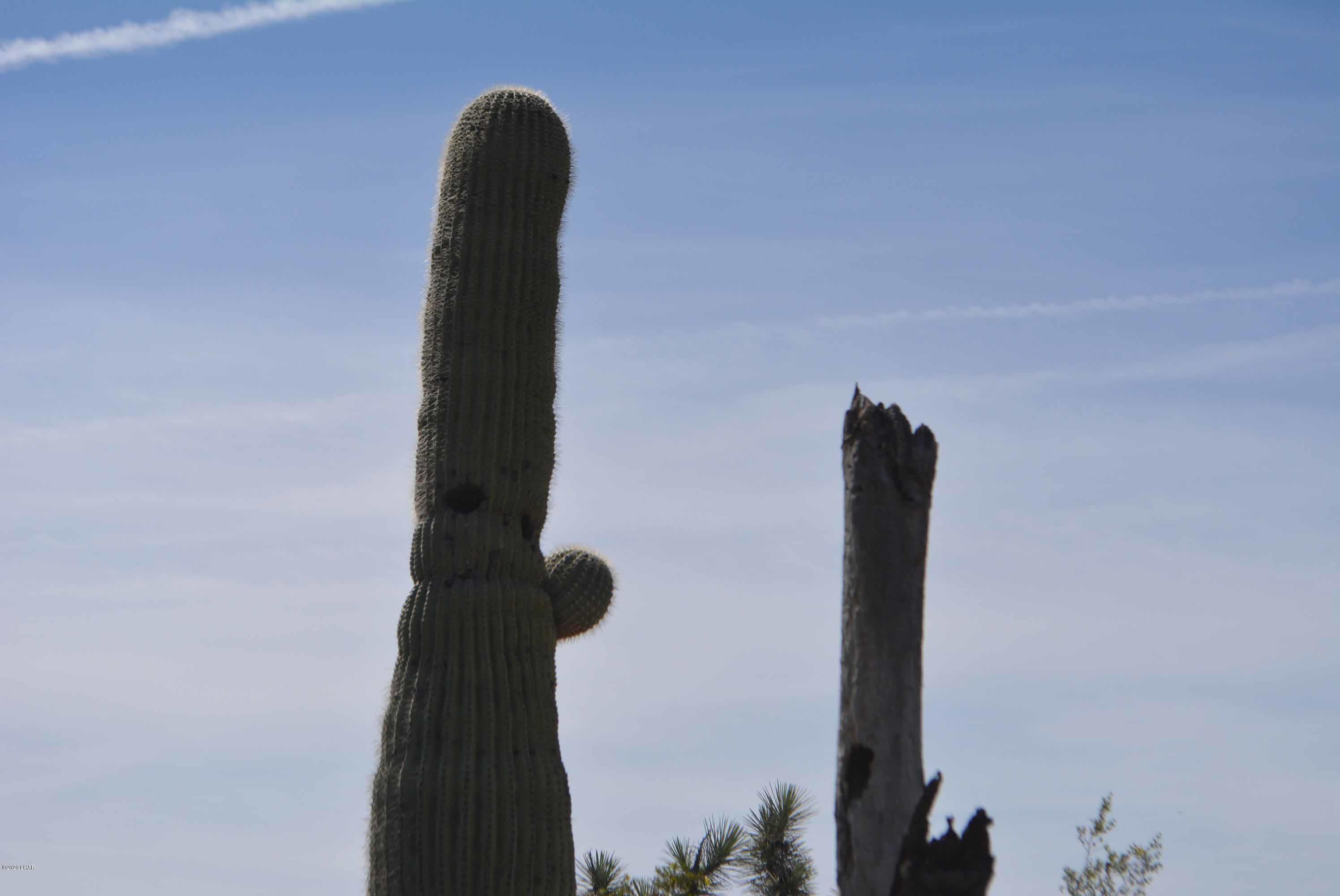 Lot 2396 Appaloosa Road Yucca, AZ 86438 - Photo 17 of 48 DSC_0729