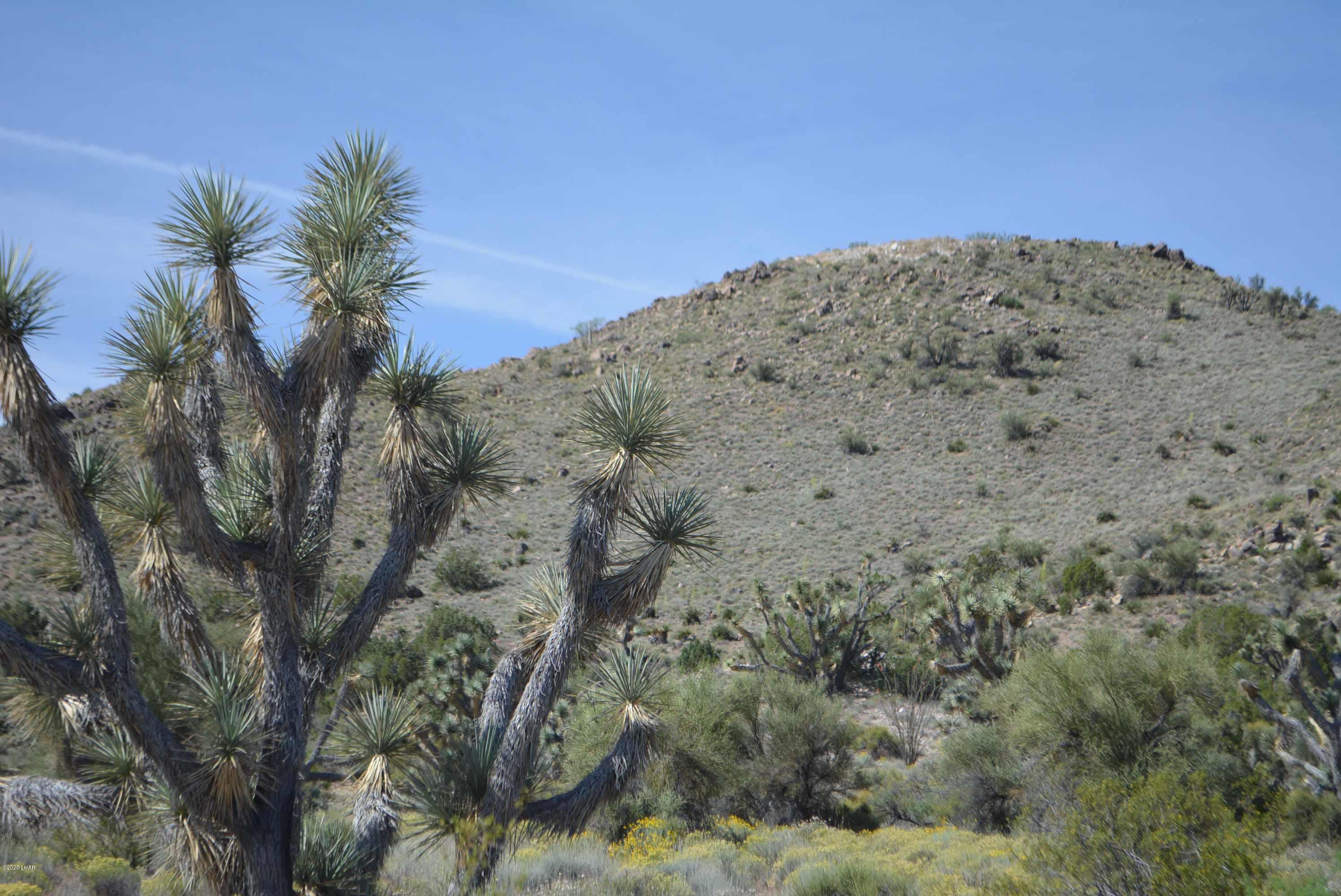 Lot 2396 Appaloosa Road Yucca, AZ 86438 - Photo 18 of 48 DSC_0730