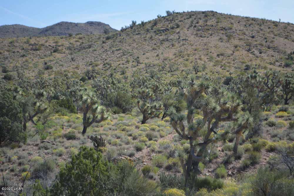Lot 2396 Appaloosa Road Yucca, AZ 86438 - Photo 19 of 48 DSC_0731 sm