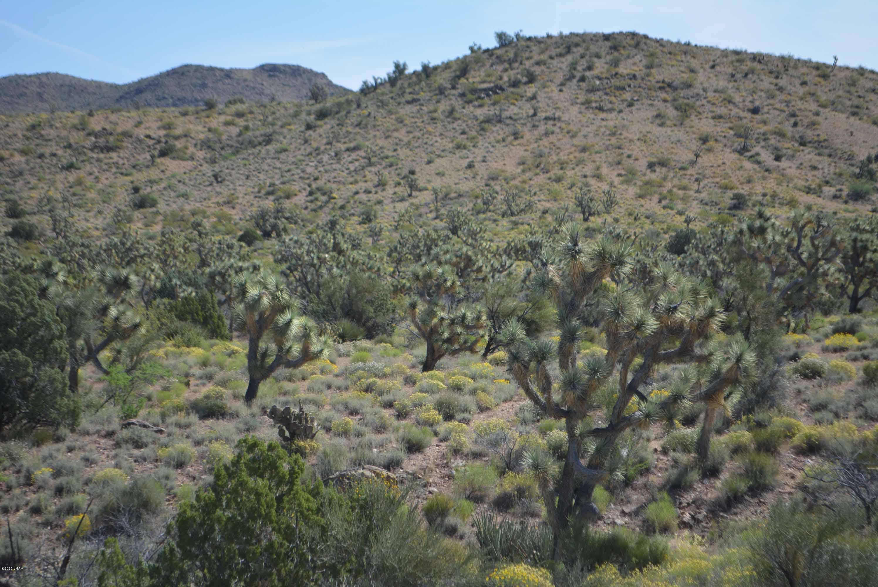 Lot 2396 Appaloosa Road Yucca, AZ 86438 - Photo 20 of 48 DSC_0731