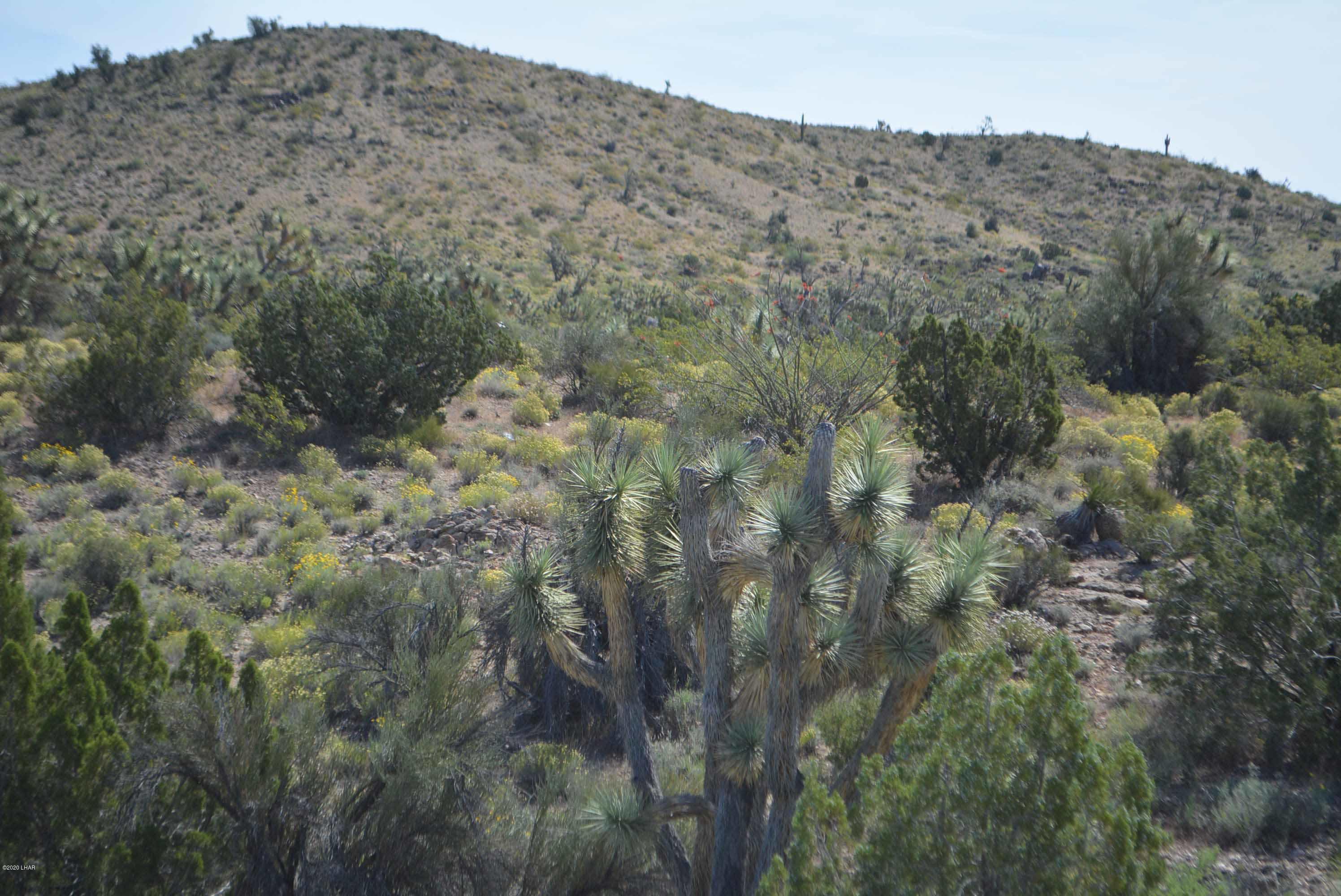 Lot 2396 Appaloosa Road Yucca, AZ 86438 - Photo 2 of 48 DSC_0714
