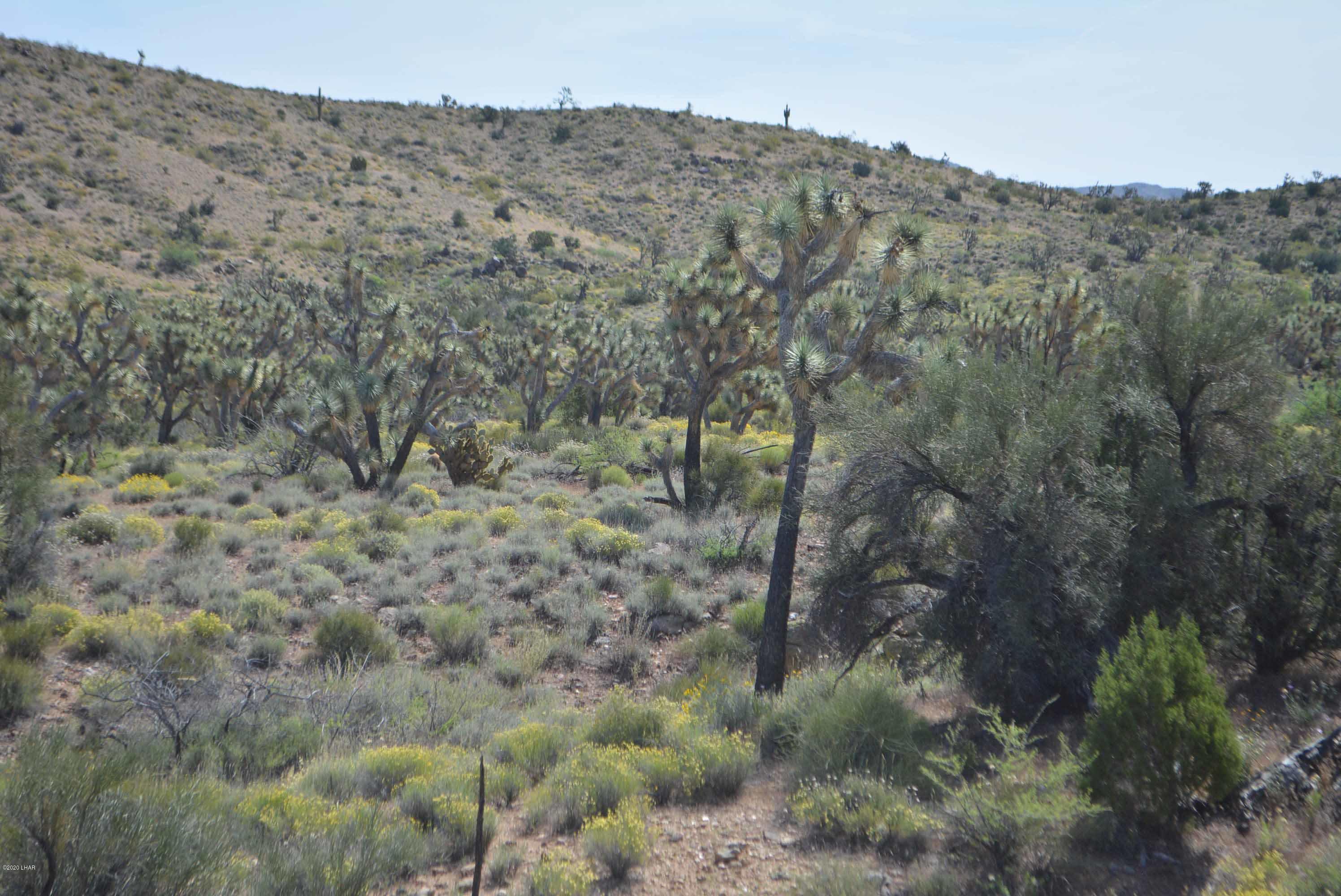 Lot 2396 Appaloosa Road Yucca, AZ 86438 - Photo 21 of 48 DSC_0732