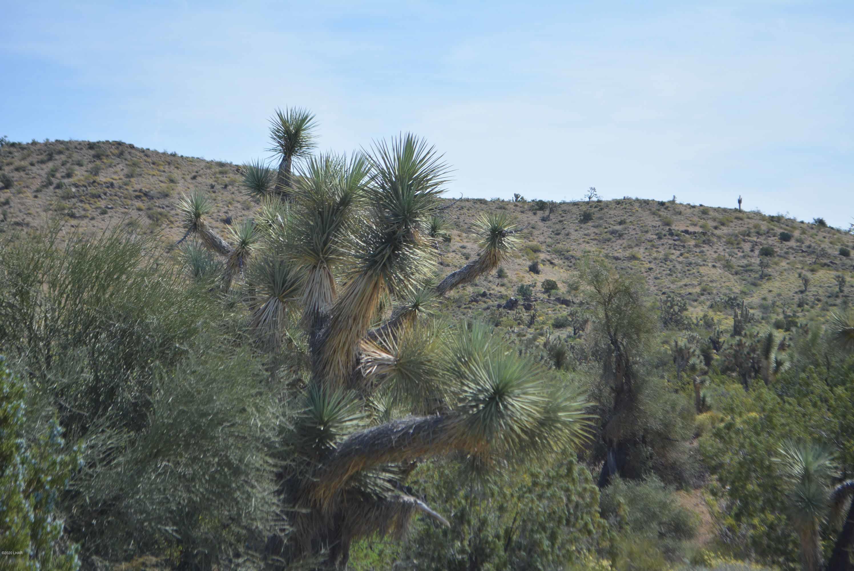 Lot 2396 Appaloosa Road Yucca, AZ 86438 - Photo 22 of 48 DSC_0734