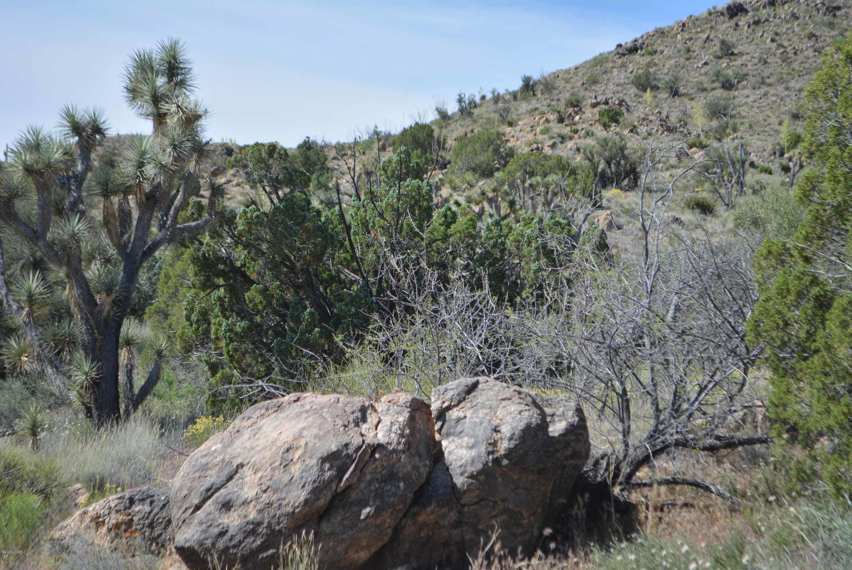 Lot 2396 Appaloosa Road Yucca, AZ 86438 - Photo 23 of 48 DSC_0735