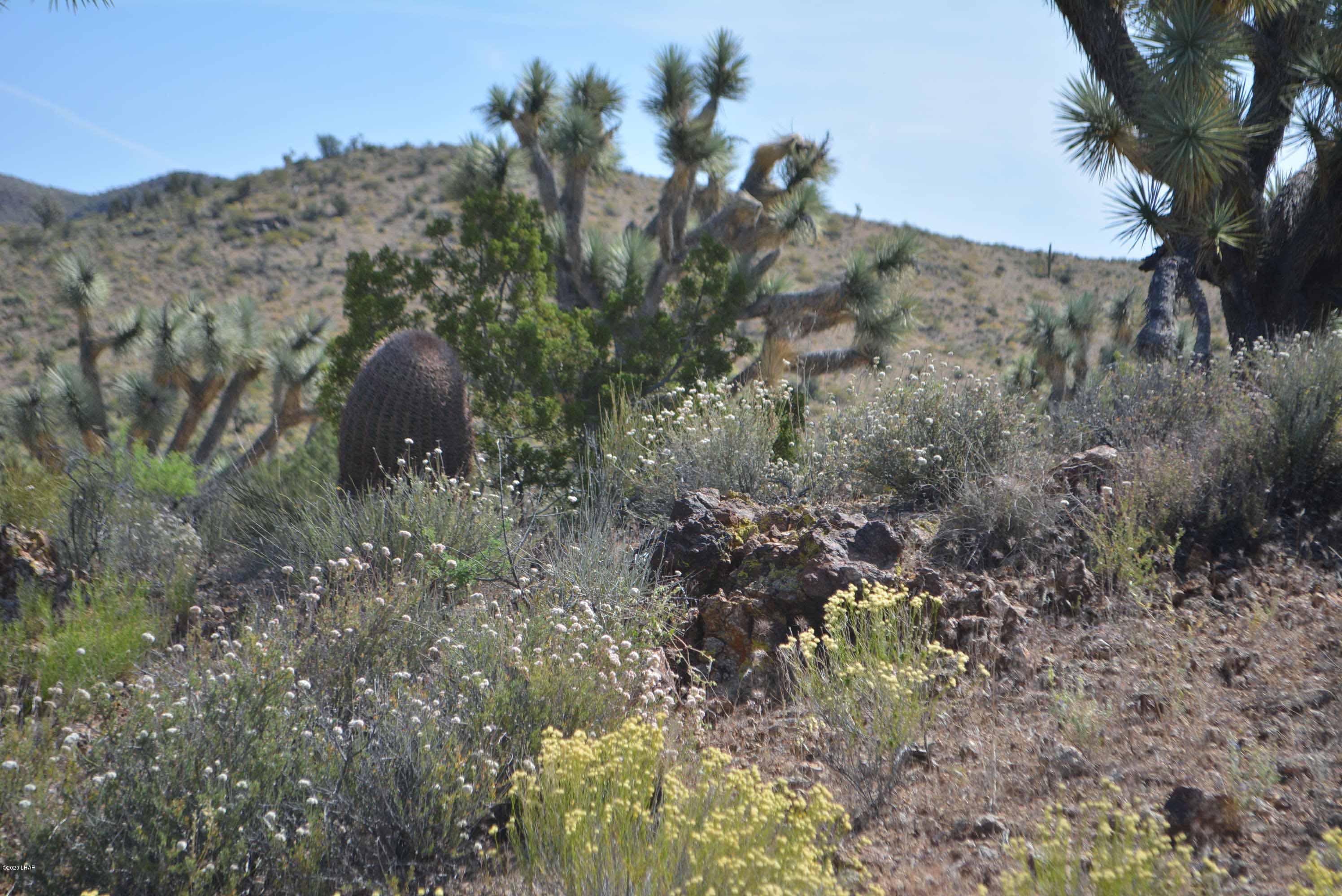 Lot 2396 Appaloosa Road Yucca, AZ 86438 - Photo 25 of 48 DSC_0737
