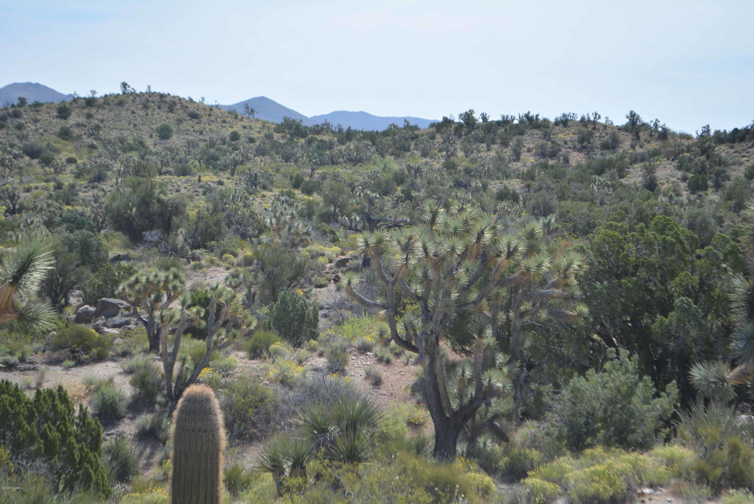 Lot 2396 Appaloosa Road Yucca, AZ 86438 - Photo 26 of 48 DSC_0738