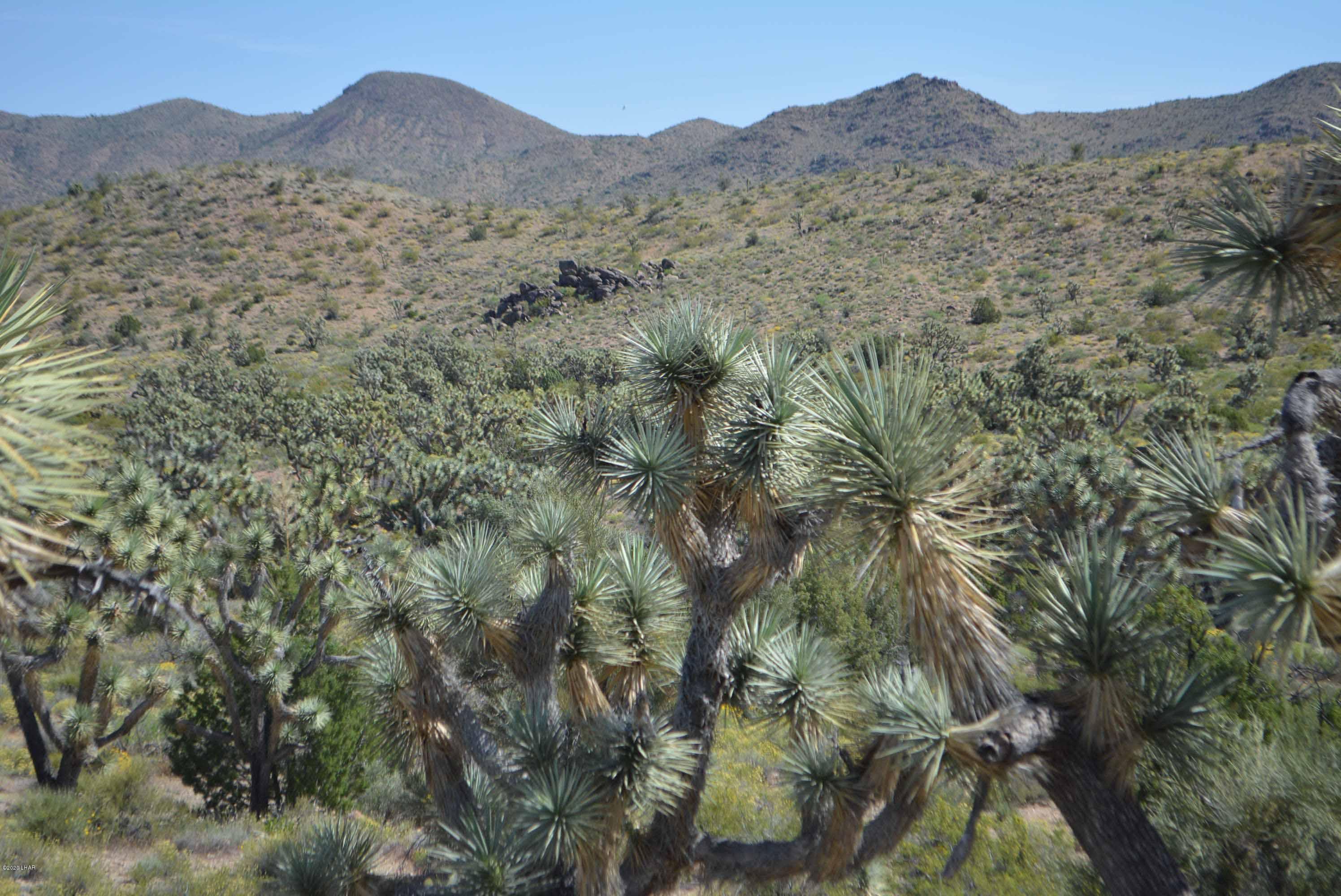 Lot 2396 Appaloosa Road Yucca, AZ 86438 - Photo 27 of 48 DSC_0739