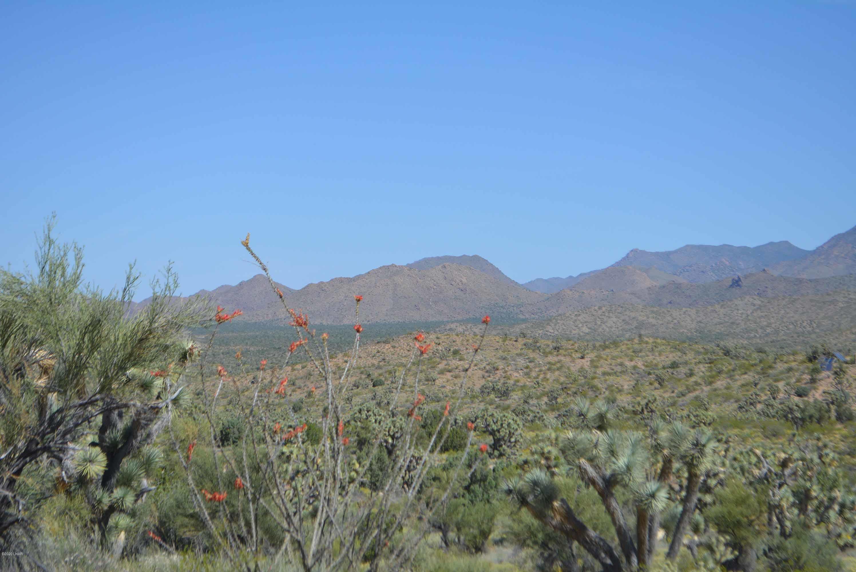 Lot 2396 Appaloosa Road Yucca, AZ 86438 - Photo 28 of 48 DSC_0740