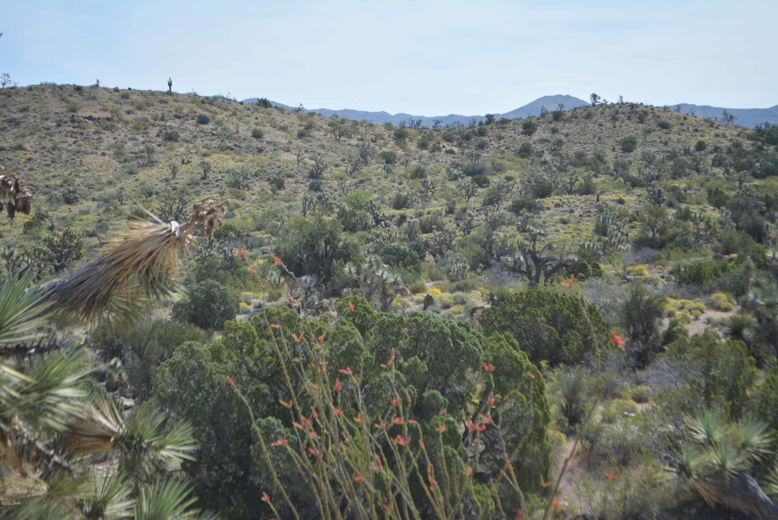 Lot 2396 Appaloosa Road Yucca, AZ 86438 - Photo 29 of 48 DSC_0741