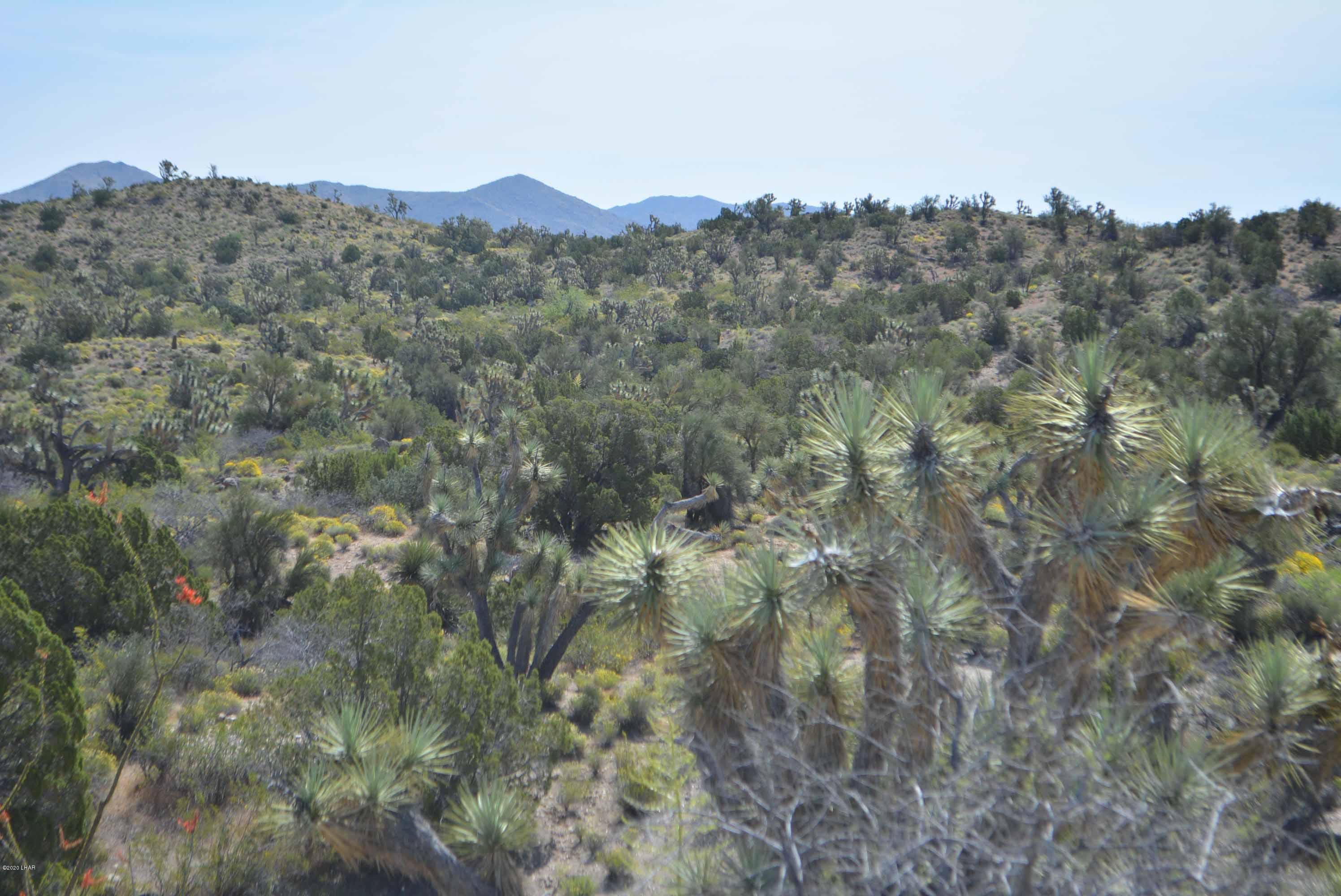 Lot 2396 Appaloosa Road Yucca, AZ 86438 - Photo 30 of 48 DSC_0742