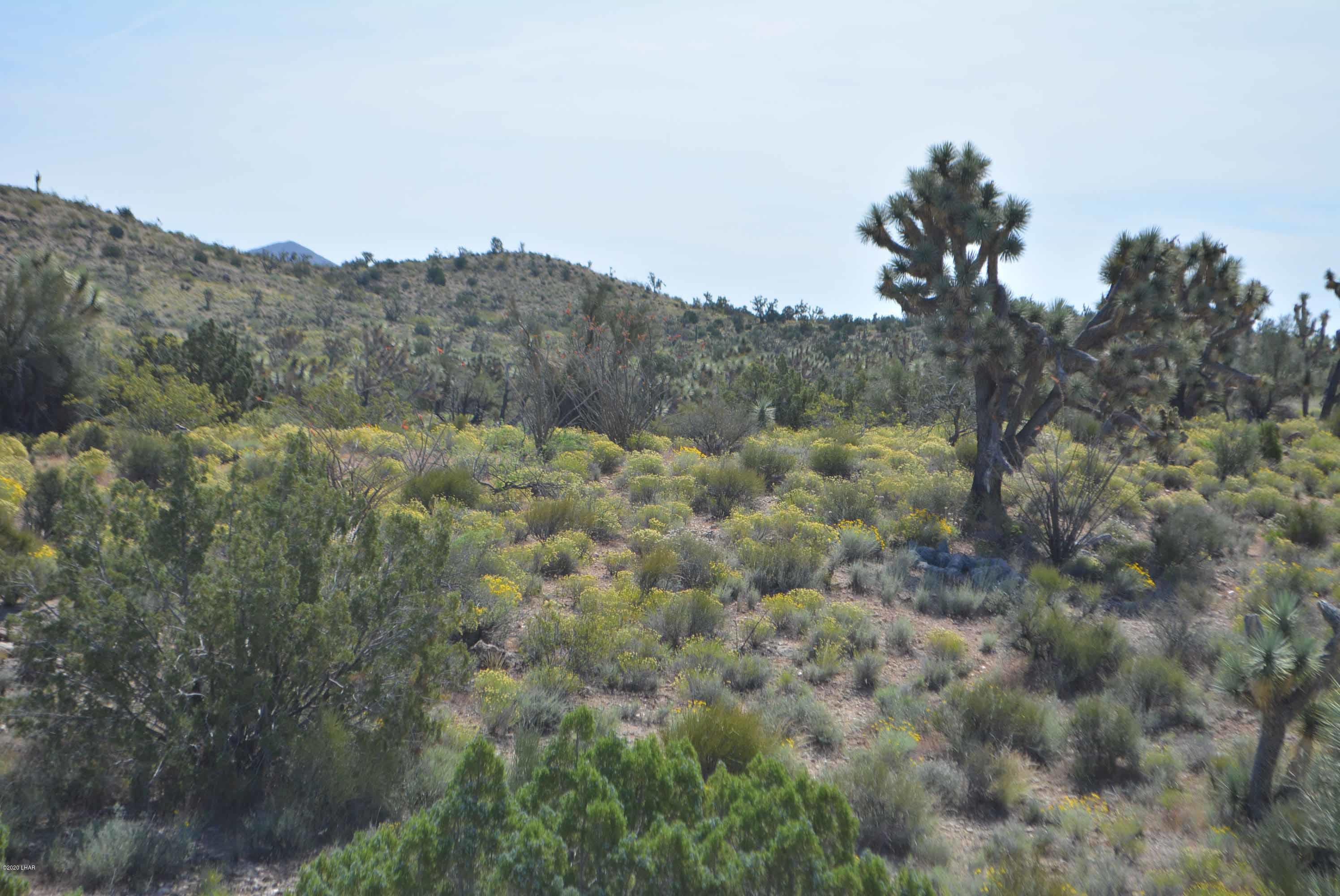 Lot 2396 Appaloosa Road Yucca, AZ 86438 - Photo 3 of 48 DSC_0715