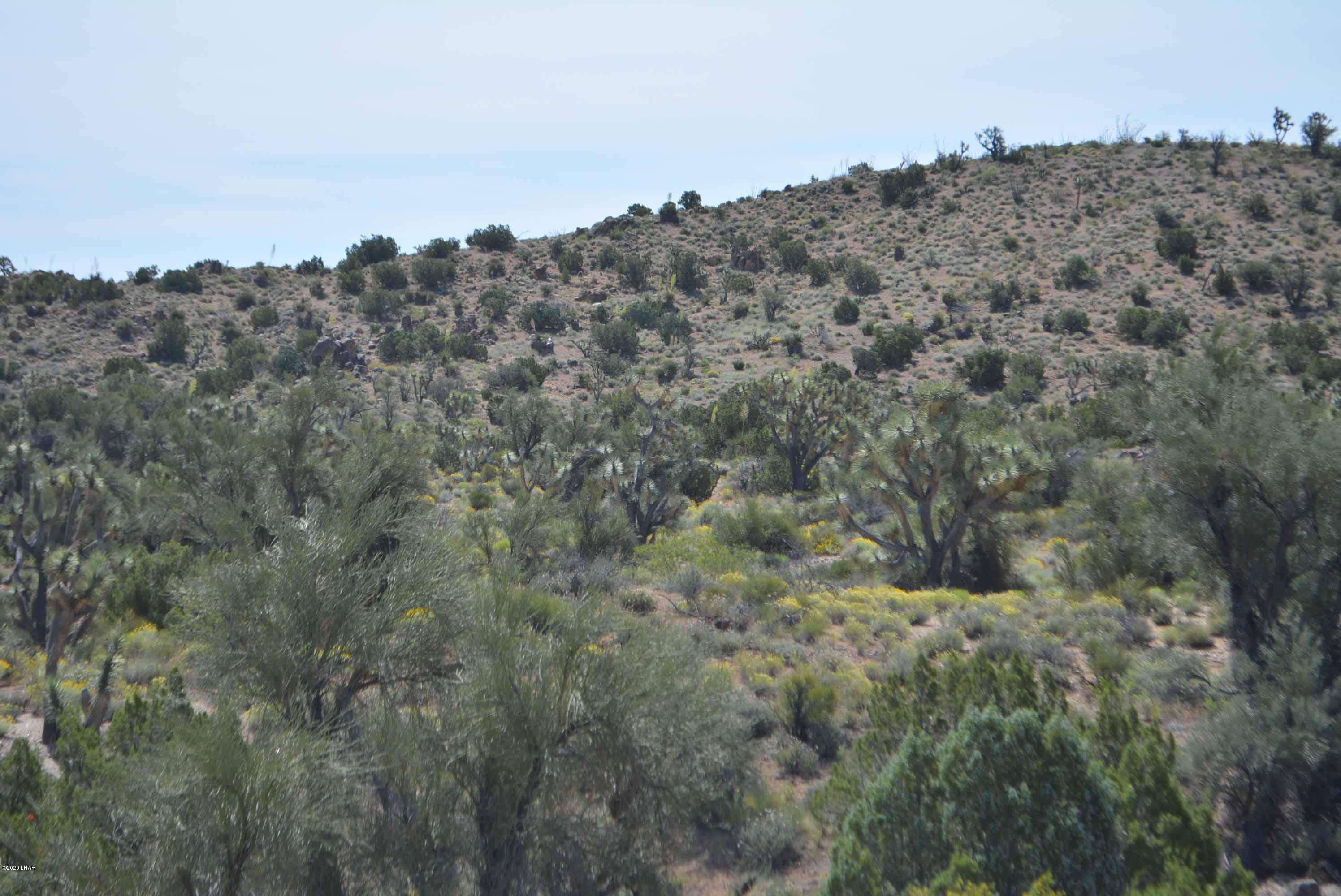 Lot 2396 Appaloosa Road Yucca, AZ 86438 - Photo 31 of 48 DSC_0743