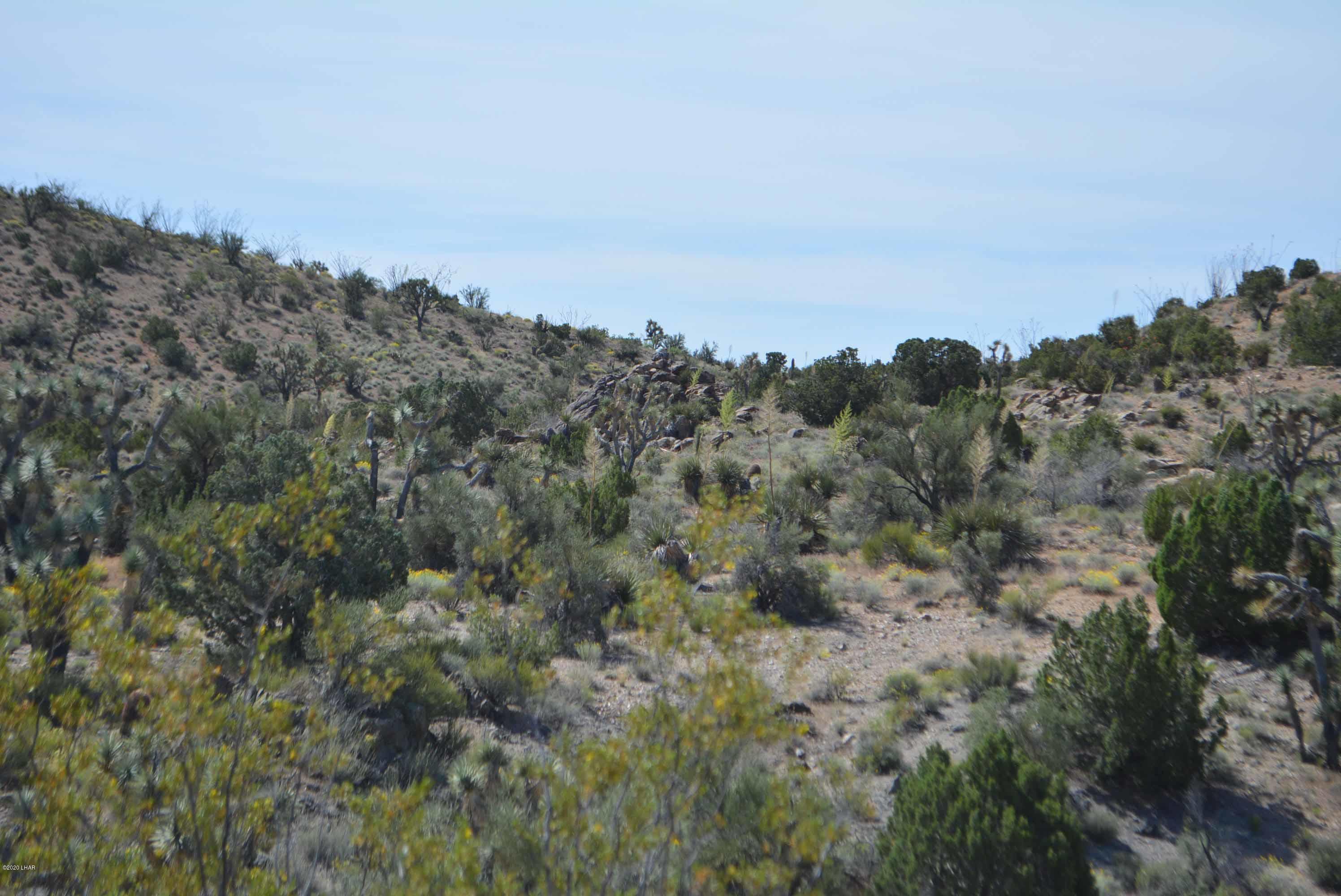 Lot 2396 Appaloosa Road Yucca, AZ 86438 - Photo 32 of 48 DSC_0744
