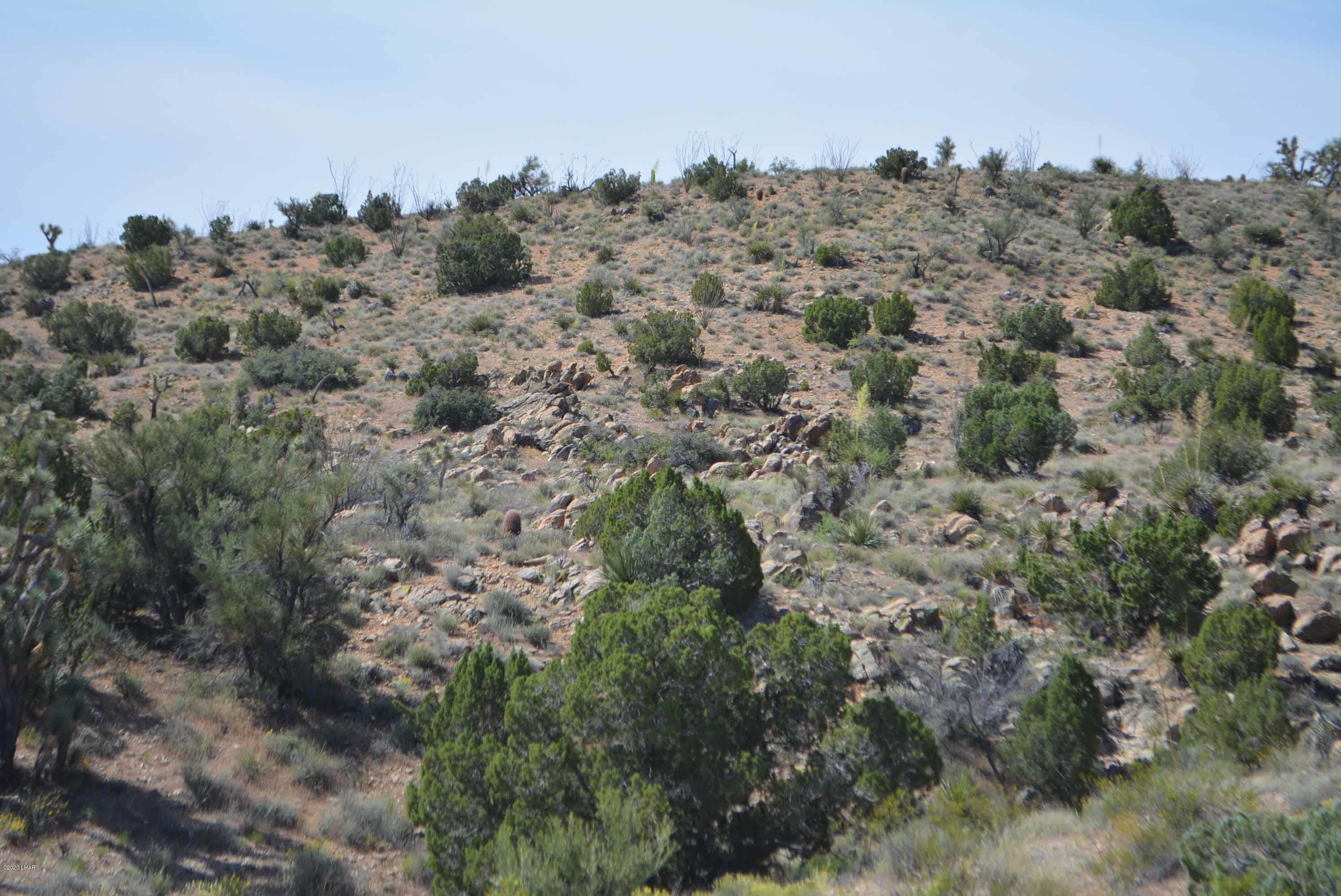 Lot 2396 Appaloosa Road Yucca, AZ 86438 - Photo 33 of 48 DSC_0745
