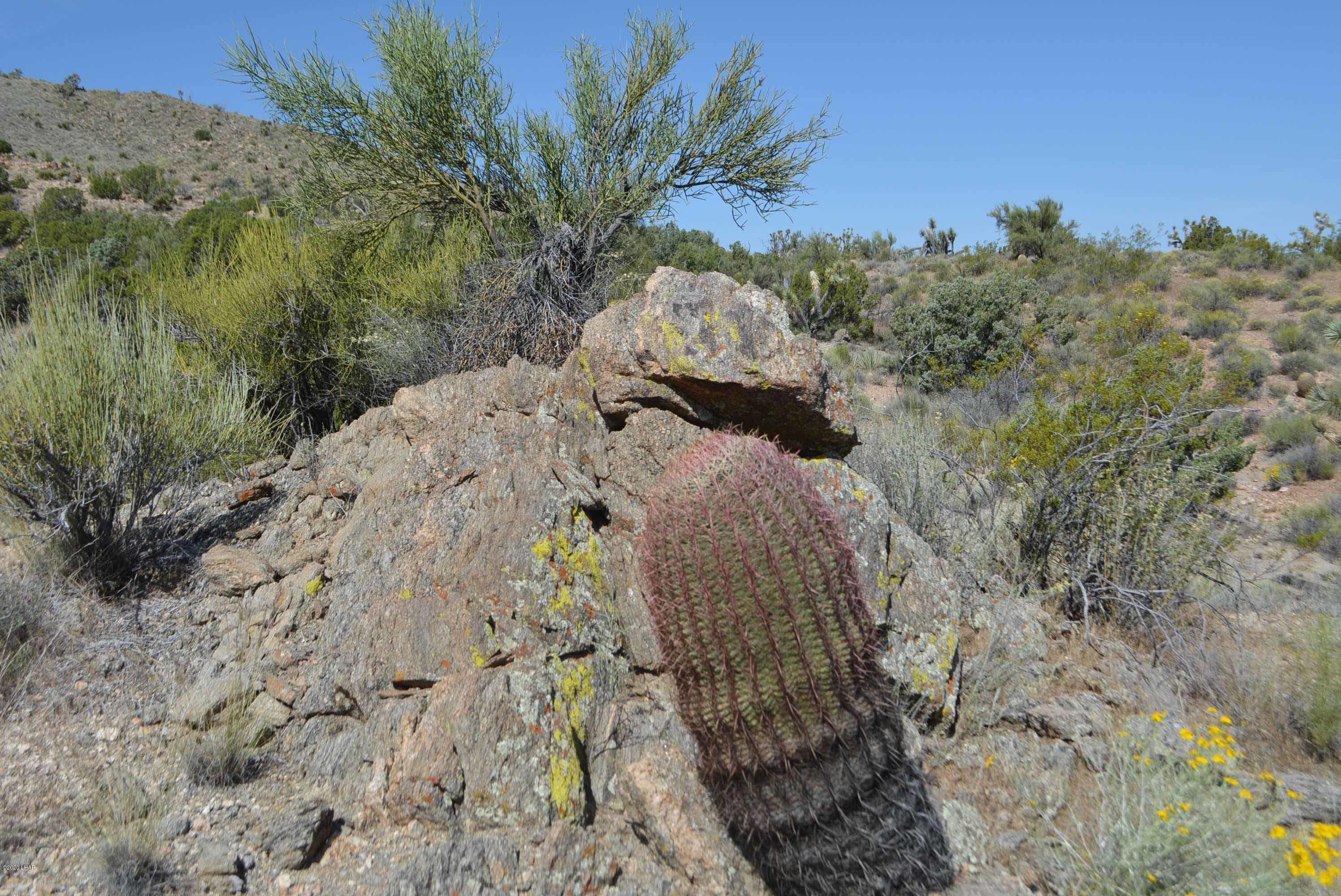Lot 2396 Appaloosa Road Yucca, AZ 86438 - Photo 35 of 48 DSC_0747