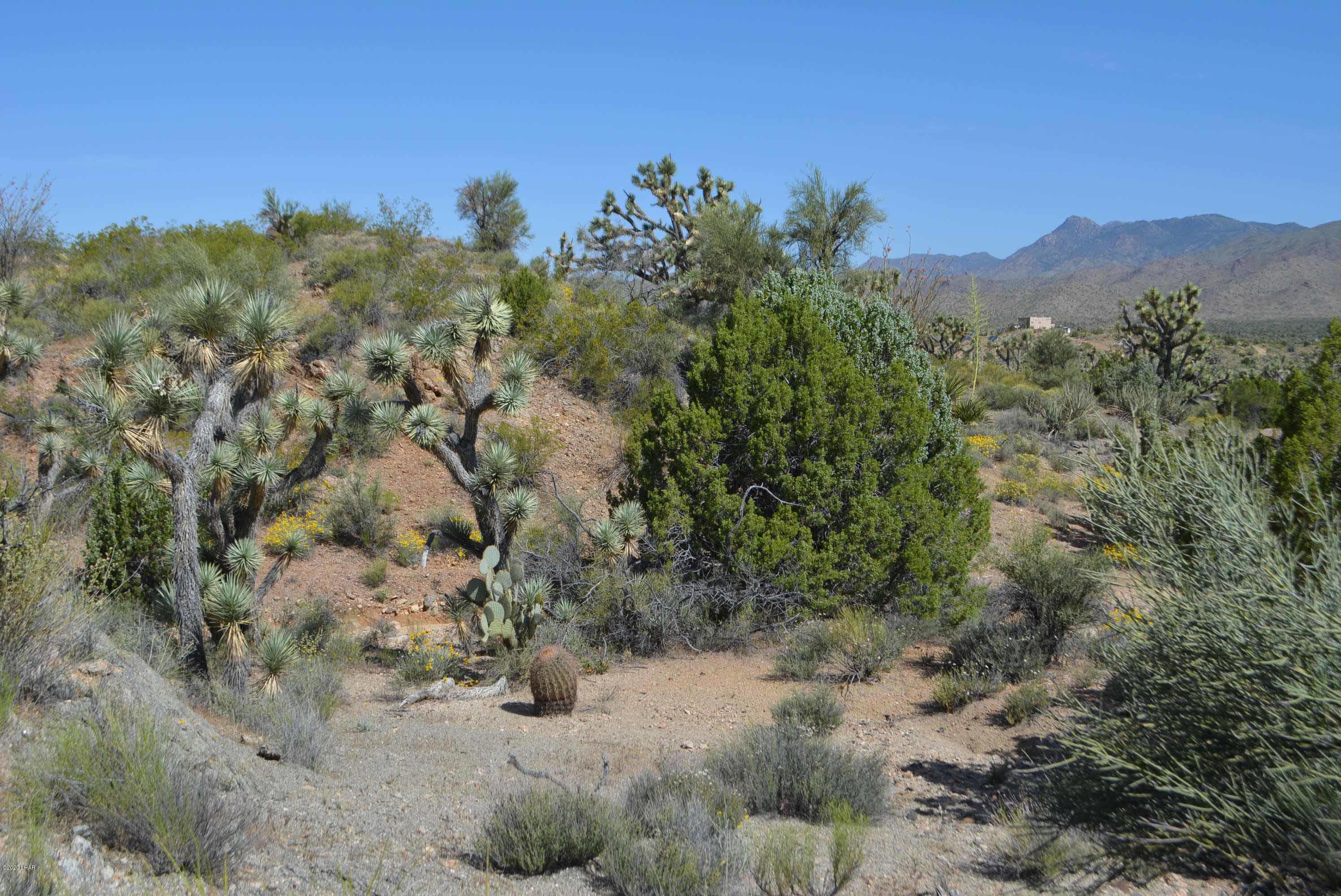 Lot 2396 Appaloosa Road Yucca, AZ 86438 - Photo 36 of 48 DSC_0748