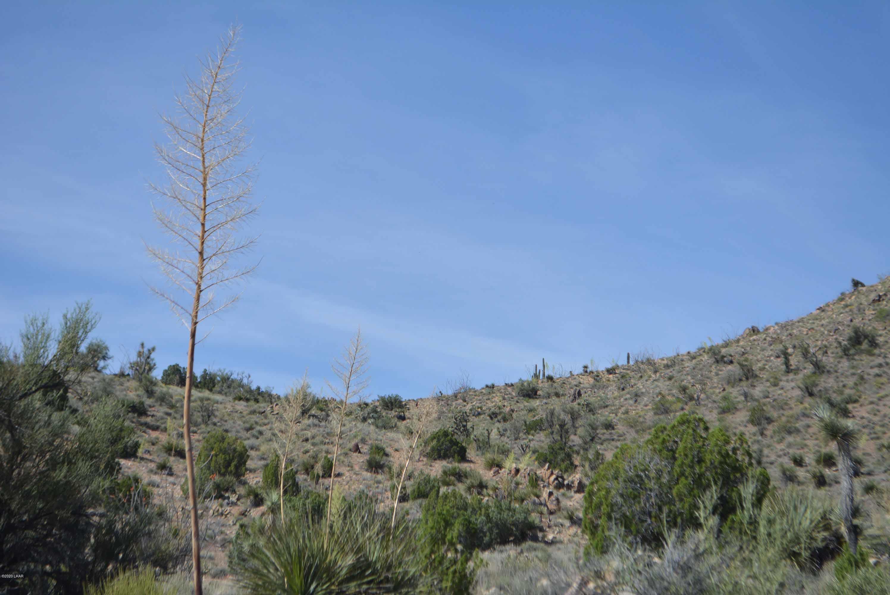 Lot 2396 Appaloosa Road Yucca, AZ 86438 - Photo 37 of 48 DSC_0749