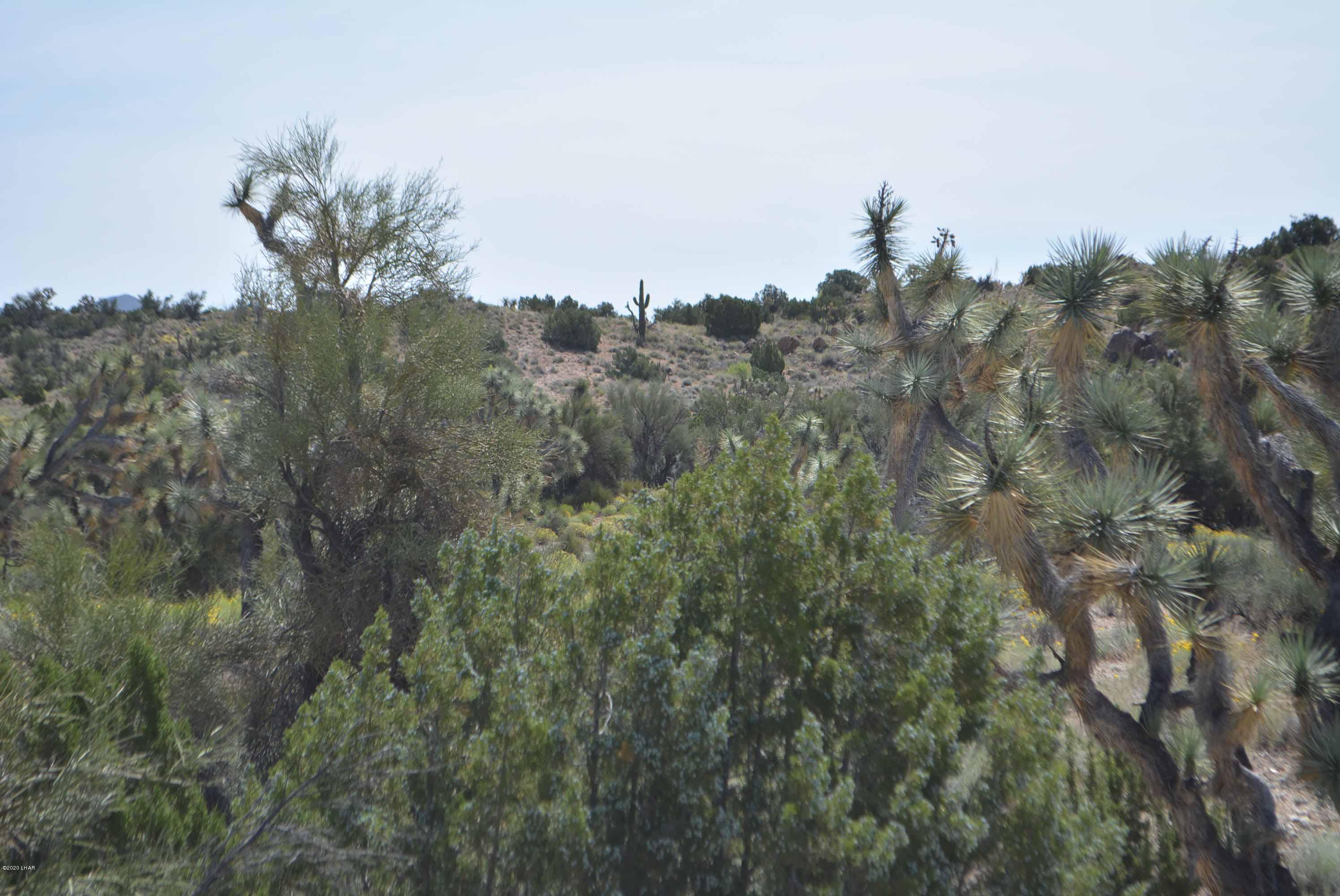Lot 2396 Appaloosa Road Yucca, AZ 86438 - Photo 38 of 48 DSC_0750