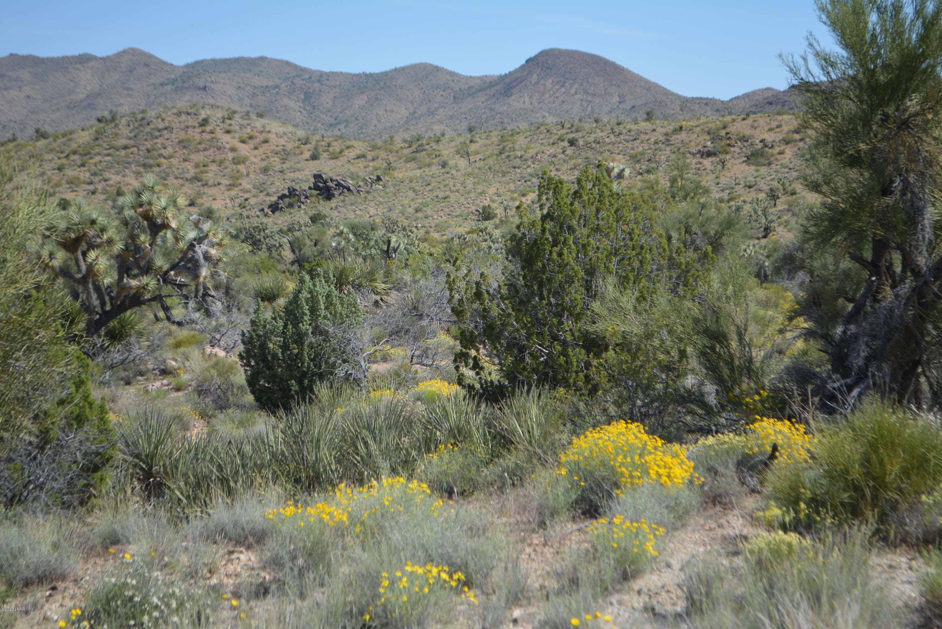 Lot 2396 Appaloosa Road Yucca, AZ 86438 - Photo 39 of 48 DSC_0751