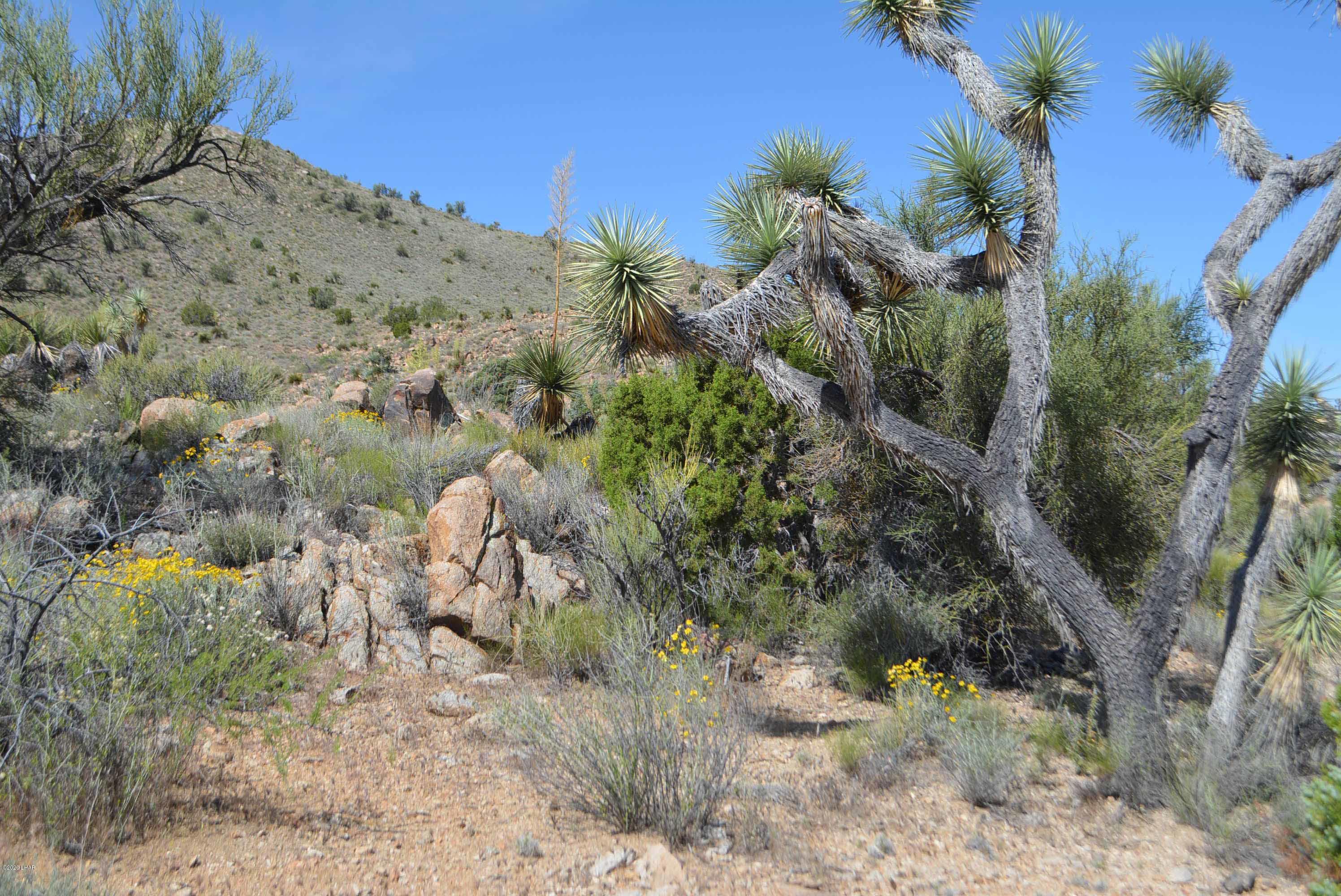 Lot 2396 Appaloosa Road Yucca, AZ 86438 - Photo 40 of 48 DSC_0752