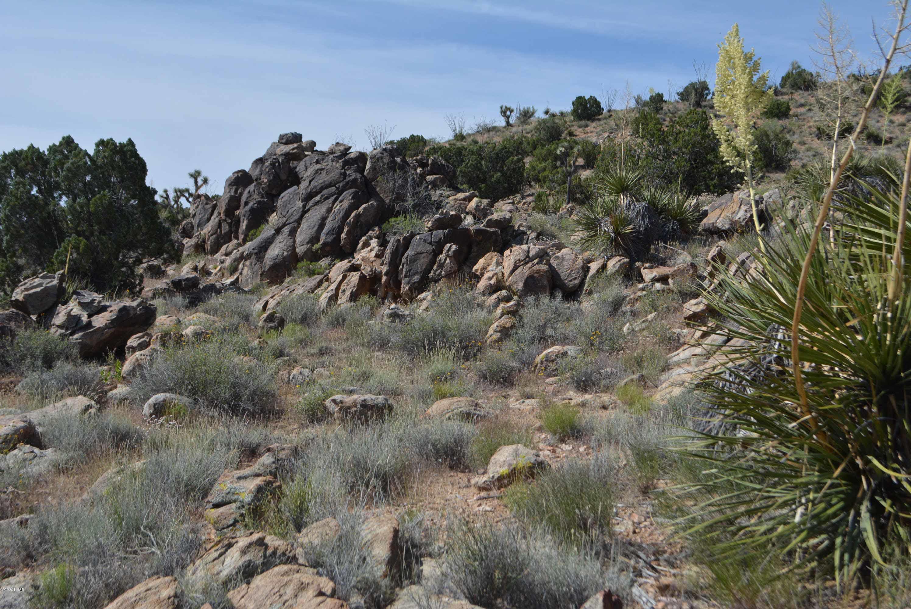 Lot 2396 Appaloosa Road Yucca, AZ 86438 - Photo 41 of 48 DSC_0753
