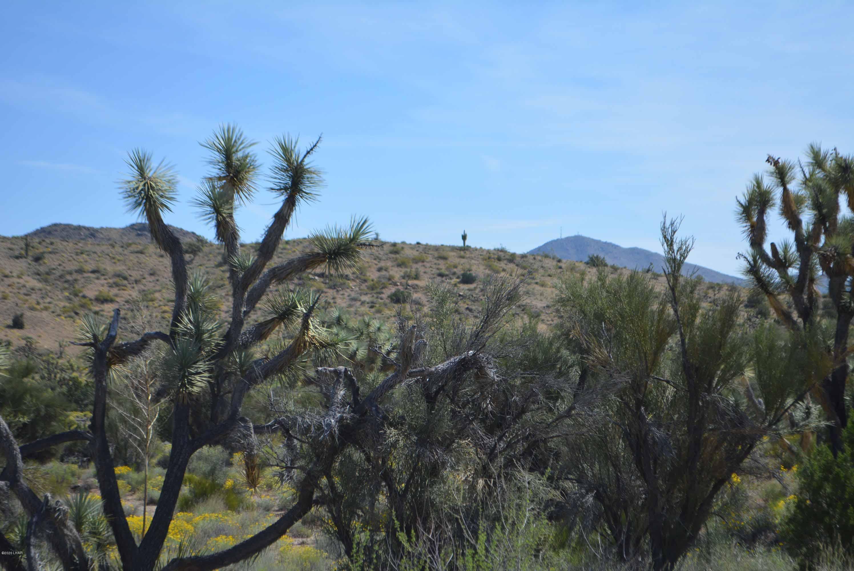 Lot 2396 Appaloosa Road Yucca, AZ 86438 - Photo 42 of 48 DSC_0754