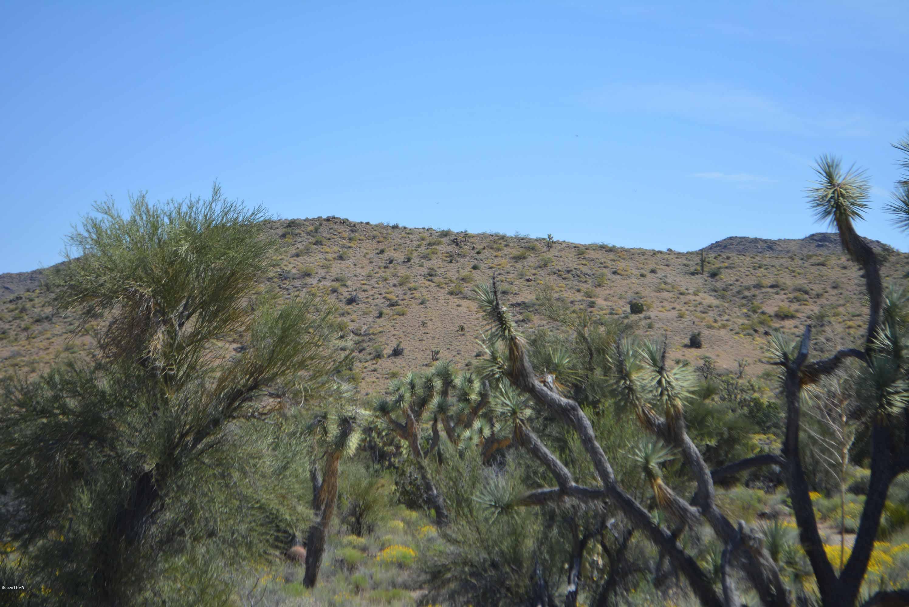 Lot 2396 Appaloosa Road Yucca, AZ 86438 - Photo 43 of 48 DSC_0755
