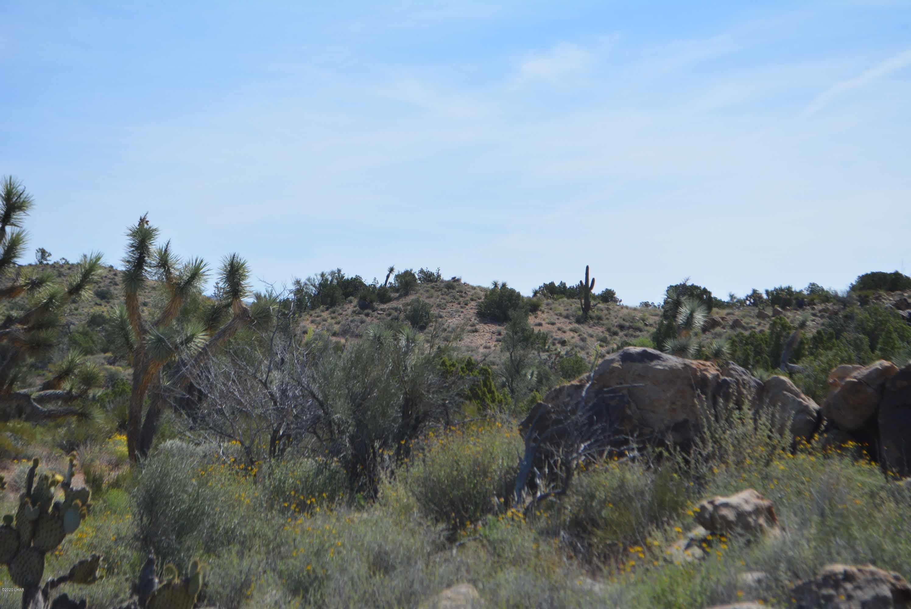 Lot 2396 Appaloosa Road Yucca, AZ 86438 - Photo 44 of 48 DSC_0756
