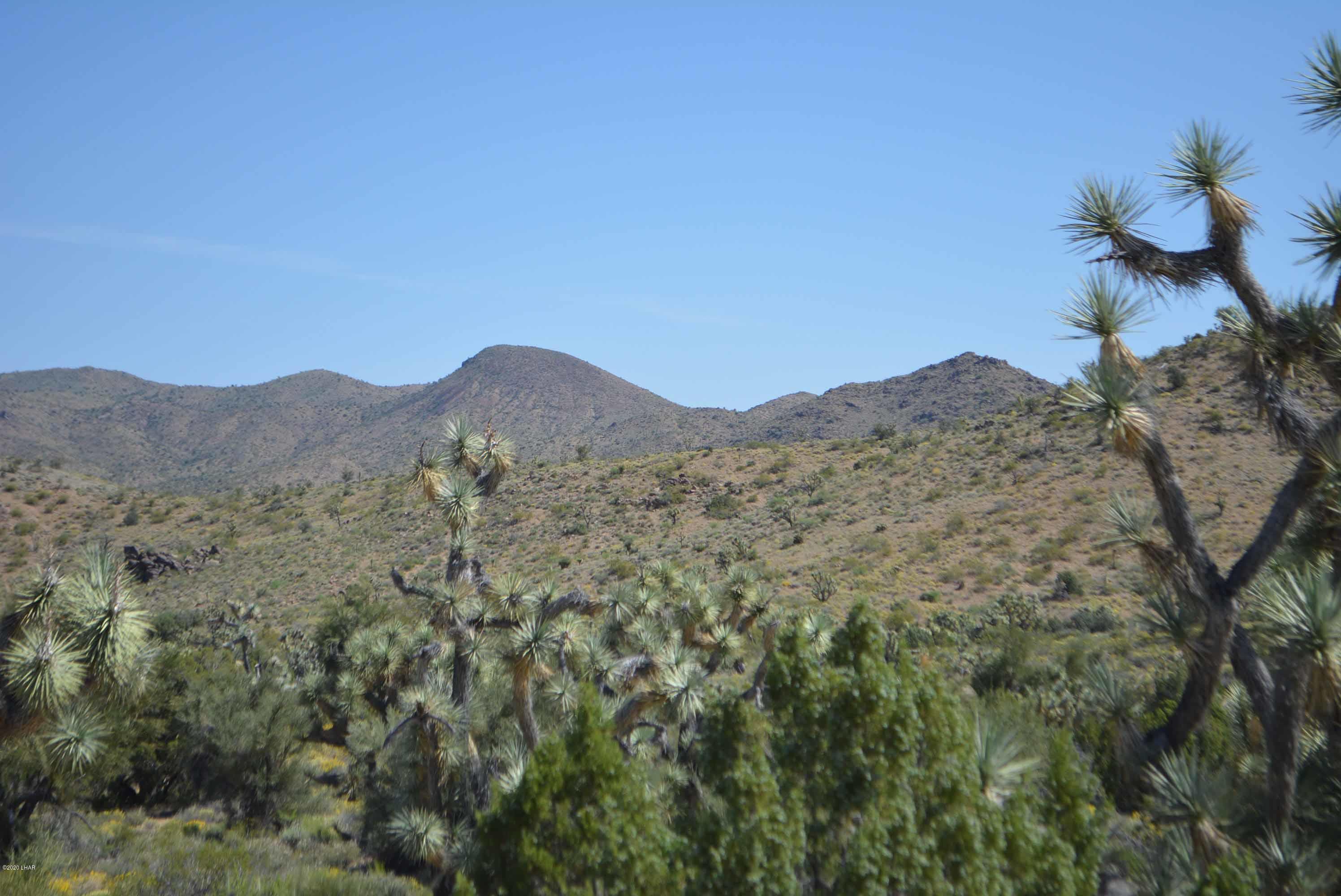 Lot 2396 Appaloosa Road Yucca, AZ 86438 - Photo 45 of 48 DSC_0757