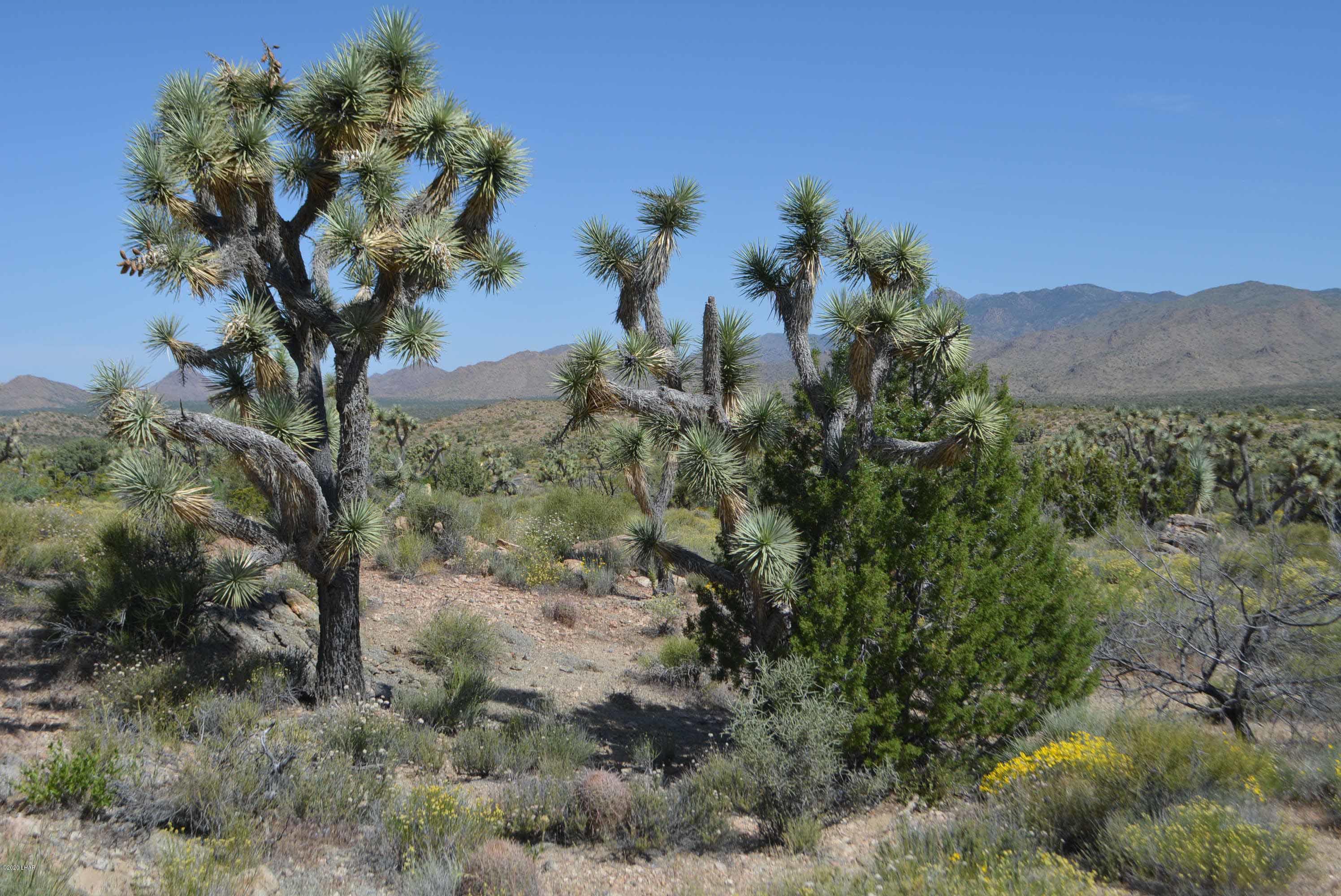 Lot 2396 Appaloosa Road Yucca, AZ 86438 - Photo 46 of 48 DSC_0759