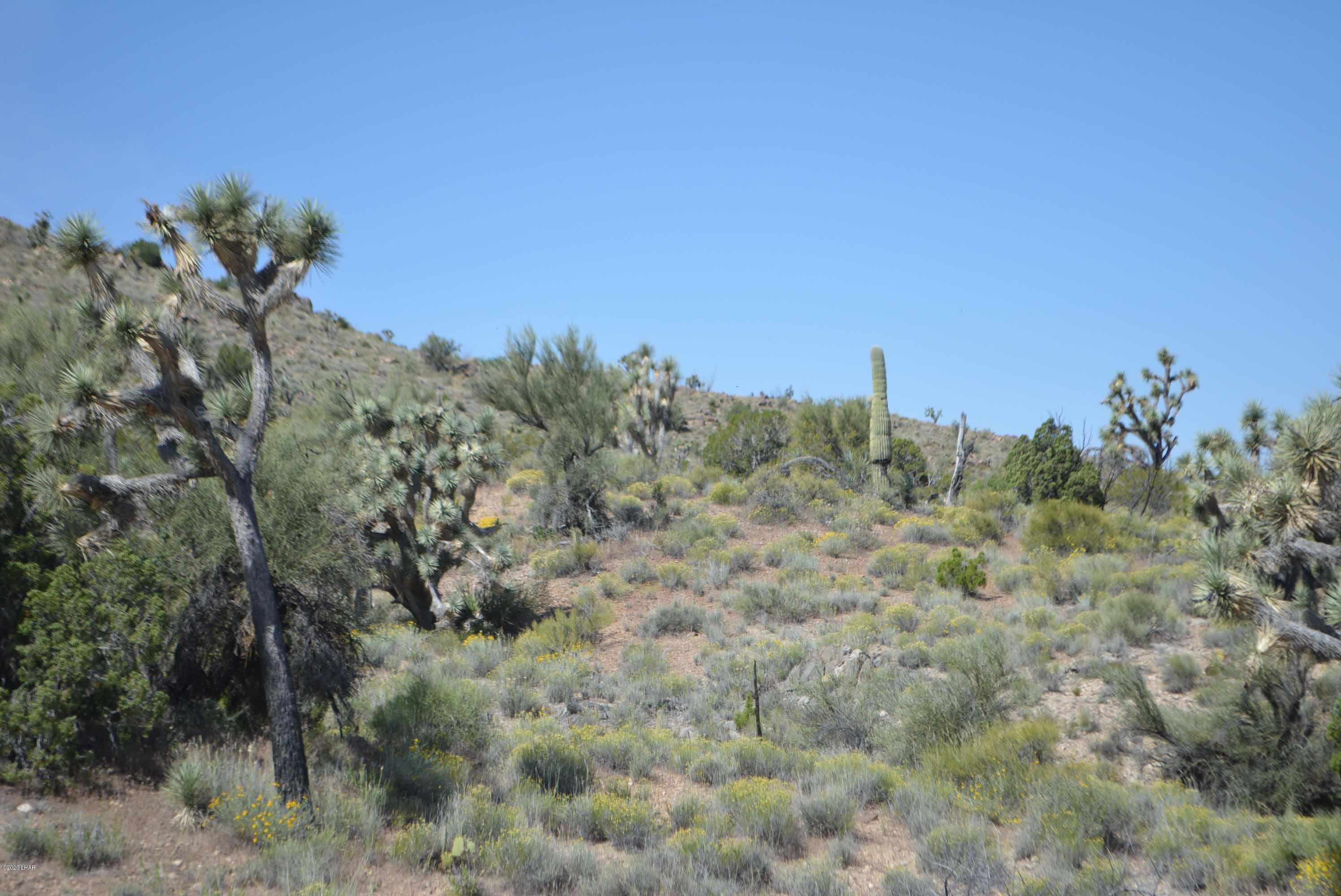 Lot 2396 Appaloosa Road Yucca, AZ 86438 - Photo 47 of 48 DSC_0760
