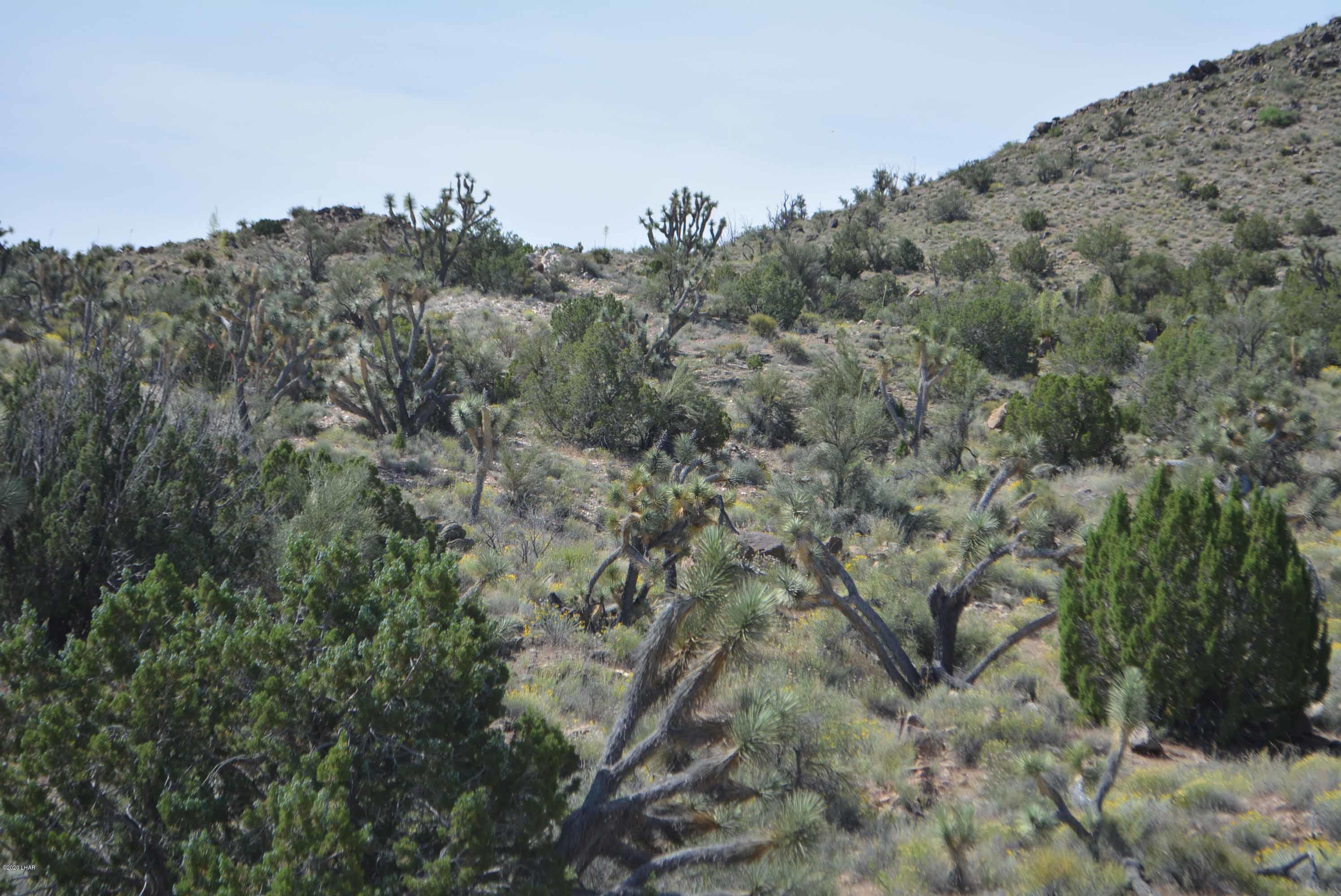 Lot 2396 Appaloosa Road Yucca, AZ 86438 - Photo 5 of 48 DSC_0717